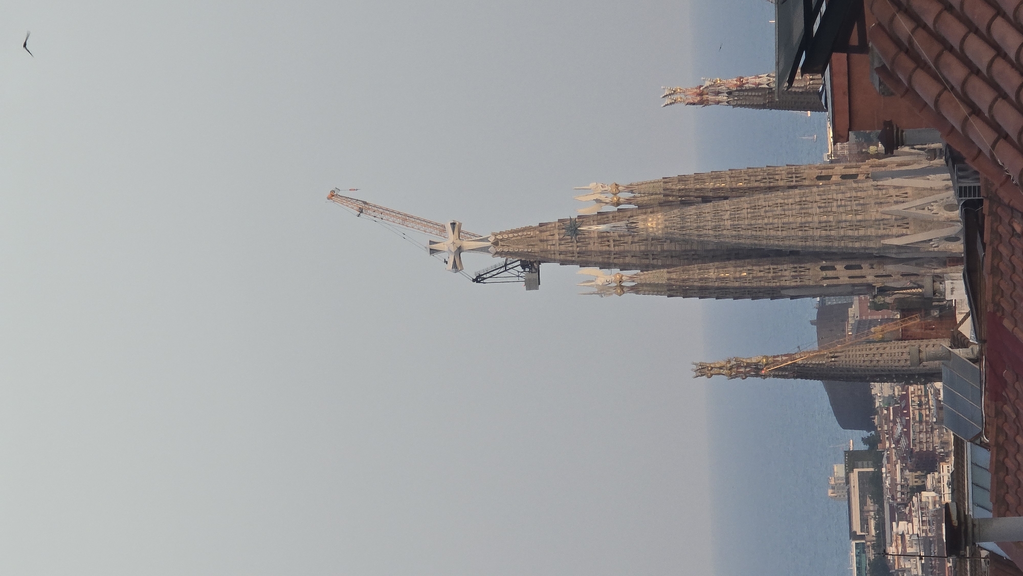 The image depicts a view of the Sagrada Familia in Barcelona, Spain, with a crane atop one of its spires. The Sagrada Familia is a large, unfinished Roman Catholic minor basilica designed by Antoni Gaudí. The construction of the basilica began in 1882, and it is still ongoing today. The image captures the basilica's intricate Gothic architecture and its unique, organic design. The crane suggests that the construction work is still in progress, adding to the building's iconic status as a symbol of ongoing artistic and architectural endeavor. In the background, the Mediterranean Sea is visible, with a few boats on the water. The city of Barcelona stretches out below, with its characteristic red-tiled roofs and urban landscape. The sky is a pale blue, indicating a clear day. The image is taken from a high vantage point, likely from a rooftop or a nearby building, providing a panoramic view of the basilica and its surroundings. A bird is seen flying in the upper right corner of the image.