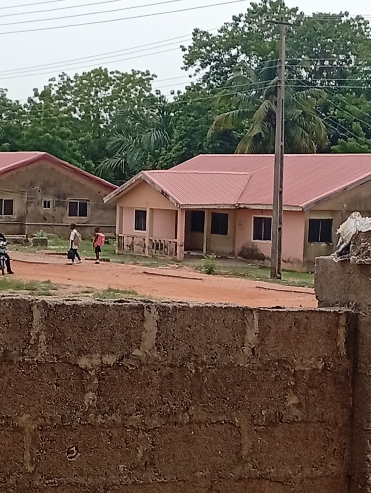The image depicts a street scene in what is presumably Adankolo, Nigeria, given the prompt's reference. Two single-story buildings with red roofs are visible in the background. One is painted pink and the other is grey. A utility pole stands to the right of the pink building, with electrical wires strung above. In the foreground, a partially visible brick wall obstructs the full view of the scene. Two young individuals, possibly students, are walking along a dirt path between the buildings. One is carrying a black bag and the other is wearing a pink backpack. A person on a motorbike is also visible to the left of the students. Lush green trees fill the background behind the buildings. The sky appears overcast. The general environment suggests a residential or suburban area.