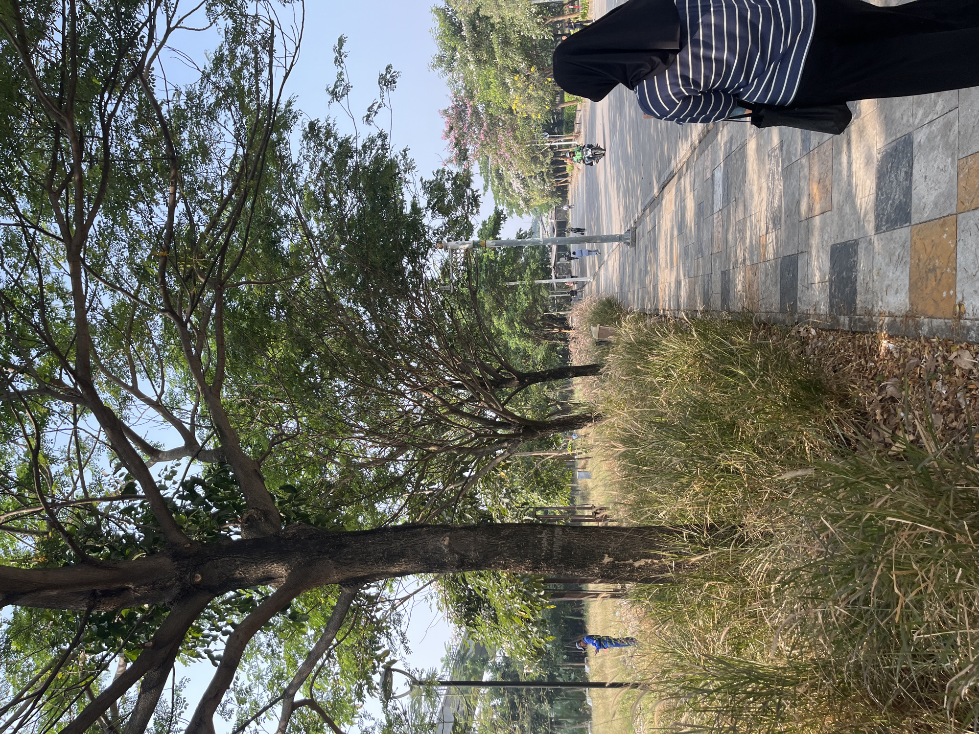 This image depicts an outdoor scene in Taman Mini Indonesia Indah (TMII), East Jakarta, Indonesia. A woman wearing a black hijab and a striped long-sleeved shirt is walking on a paved walkway. The walkway is bordered by tall, dry grass and trees on the left, and a road with scattered trees and flowering plants on the right. Several other individuals are visible walking and riding a motorcycle on the road in the distance. The environment appears to be a park or recreational area with well-maintained landscaping and a clear blue sky.