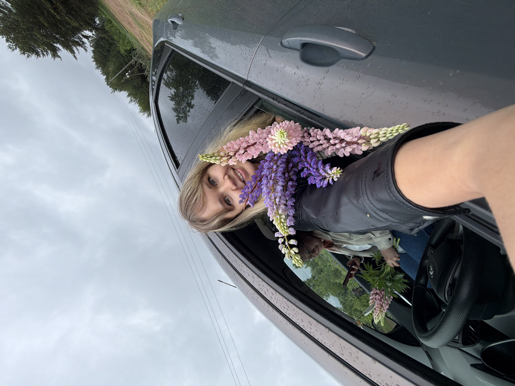 A woman is photographed in a gray car. She leans out of the driver's side window, holding lupine flowers. Her hair is blonde and she is wearing a black jacket. Raindrops are visible on the car's exterior. Another person is in the driver's seat, holding a phone and more lupine flowers. The background shows trees, a cloudy sky, and a dirt road. The location is Chaikovsky, Russia.