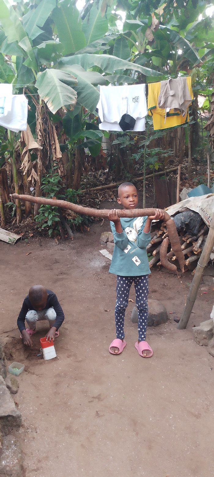 In Ohafia, Nigeria, two children are observed in an outdoor, unpaved area. The ground is reddish-brown dirt. In the foreground, to the right, a young child stands facing right, holding a long, thick, brown root or branch horizontally with both hands. This child wears a teal long-sleeved shirt with a white owl graphic, blue leggings with white star patterns, and pink slide sandals. To the left, a second, slightly smaller child crouches on the dirt, facing downwards, manipulating a red and white toy bucket or scoop near a small pile of dirt. This child wears a dark long-sleeved shirt with light-colored patterns, light-colored pants, and pink slide sandals. A small green toy container is visible near the crouching child. In the background, lush green banana plants dominate the upper frame. A clothesline strung between unseen supports displays various articles of clothing, including white t-shirts, a yellow shirt, and a dark, possibly spherical object hanging from a white shirt. To the right of the standing child, a pile of dried wood or roots is stacked against an obscured structure.