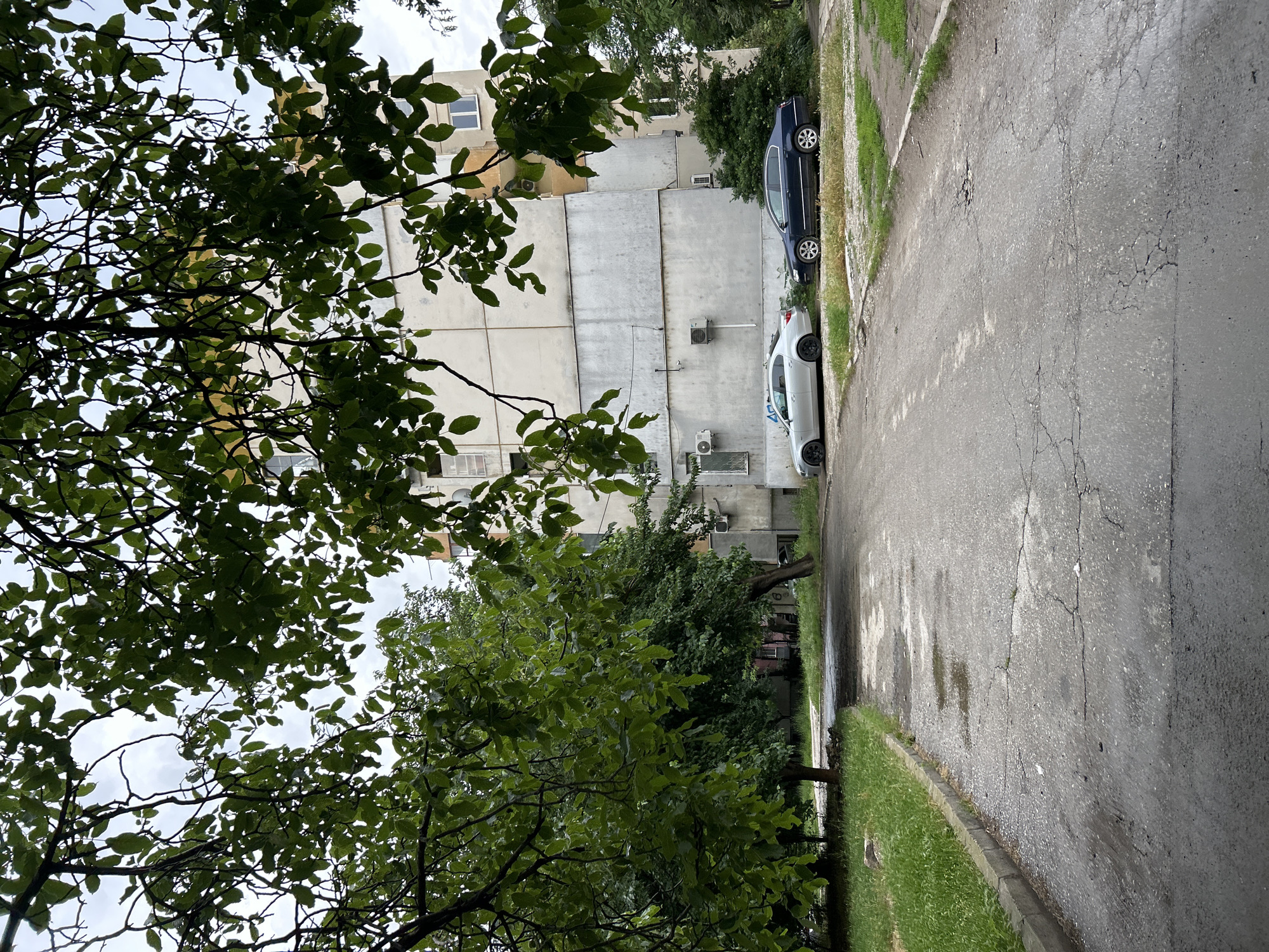 A medium-angle, eye-level shot captures an overcast day in a city, likely Plovdiv, Bulgaria, focusing on a paved area leading to a residential building. Lush green trees with dense foliage dominate the foreground and midground, their branches reaching into the frame and partially obscuring the sky and the building. The pavement in the foreground appears weathered, with visible cracks and several puddles reflecting the muted light.
In the midground, two cars are parked alongside the building. The car on the left is a silver sedan with black rims. The car on the right is a dark blue sedan. The building itself is a multi-story structure with a pale beige facade, featuring multiple windows and visible air conditioning units mounted on the exterior walls. The lower section of the building has a rough, grey concrete finish. Green grass borders the paved area, and the ground between the cars and the building is also covered in grass and soil. The overall impression is of a slightly neglected urban environment with abundant natural elements.