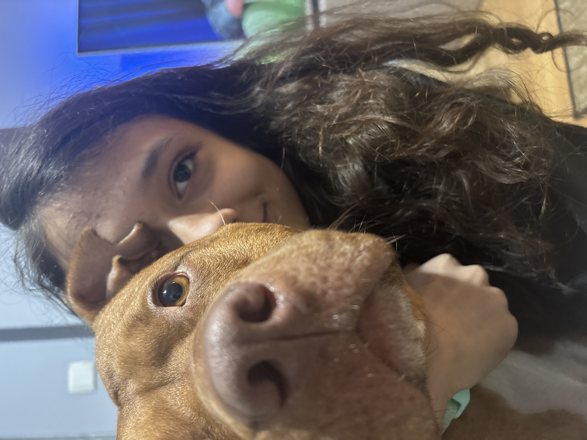 A close-up selfie of a woman and a dog. The woman, with dark curly hair, has part of her face visible, including one eye and part of her nose. The dog, with brown fur, is positioned in the foreground, with its nose and one eye prominently featured. A hand holding the dog is visible. The background shows a wall and a television. The location is not discernible from the provided image.