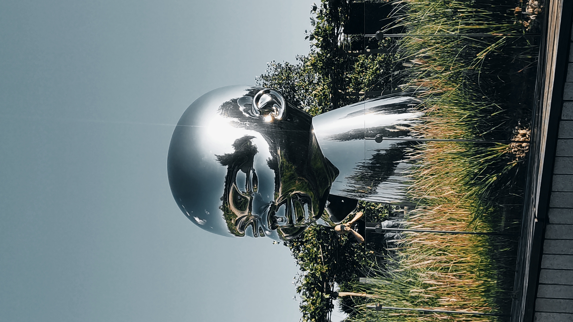 The image displays a large, highly reflective metallic sculpture of a human head and shoulders, prominently featured outdoors in Krasnodar, Russia. The sculpture, rendered in a smooth, polished silver, acts as a mirror, capturing and distorting its surroundings.
The head is depicted in profile, facing left, with a prominent forehead and an intricately shaped ear. Its surface brilliantly reflects a clear, bright blue-grey sky above, and vibrant green foliage, including trees and tall ornamental grasses, below and to its right. These reflections create abstract patterns on the sculpture's contours, making the mirrored elements appear almost fluid. Strong direct sunlight produces intense highlights on the metallic surface and a visible lens flare in the upper left area of the sky.
To the right of the sculpture, lush green bushes and tall, golden-green grass are visible, with a dark, architectural structure or wall bordering the scene on the far right. The time of day is sunny, likely mid-day, indicated by the strong illumination. The scene is static, showcasing public art within a landscaped setting. There are no people visible, nor any discernible activity or text.