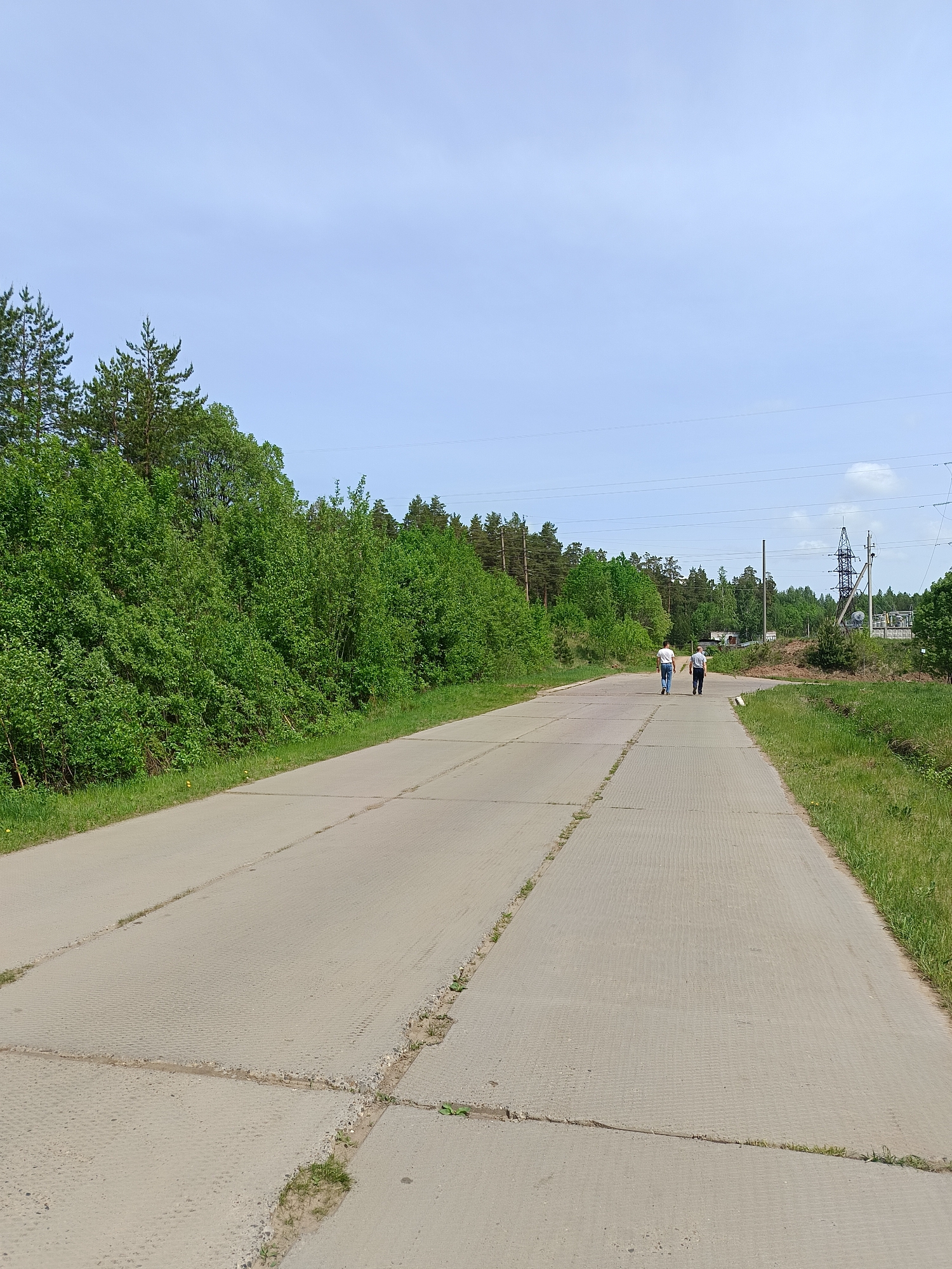 The image depicts a wide, paved road in the city of Chaikovsky, Russia, surrounded by greenery and leading into the distance. The road surface is composed of textured concrete slabs, with visible cracks and patches of vegetation growing in the seams. On the left side of the road is a dense row of green trees and bushes, while the right side has a grassy verge. Two people are walking away from the camera in the middle of the road. Power lines and electrical infrastructure are visible further down the road on the right side. The sky is a pale blue, suggesting a bright day.