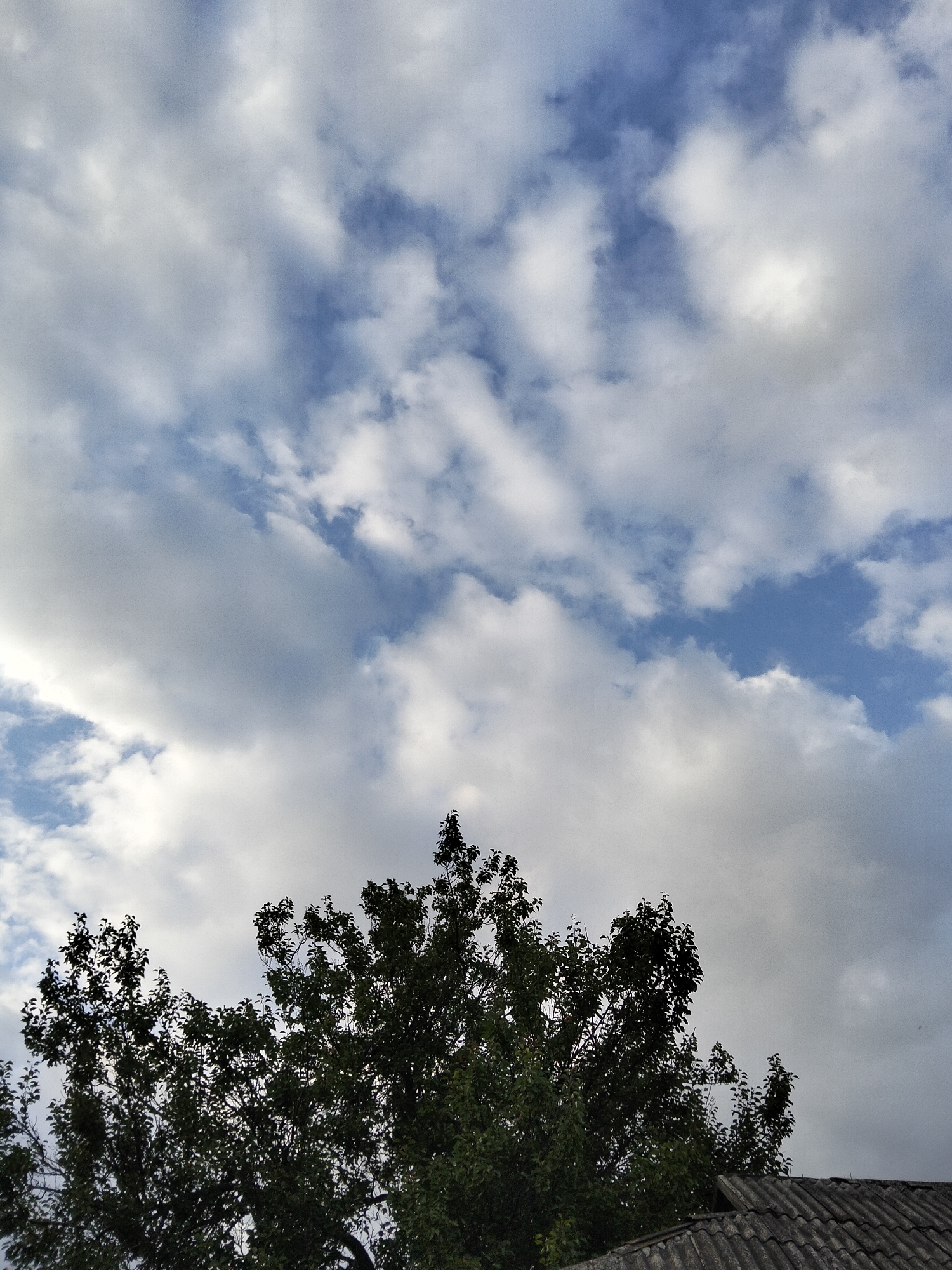 The image shows a view looking upwards towards a cloudy sky, with the silhouettes of trees and a rooftop in the foreground. The sky is a mix of blue patches and various shades of white and gray clouds, suggesting a partly cloudy day. The trees are dark green and leafy, with their branches and foliage silhouetted against the brighter sky. A portion of a weathered, gray, tiled rooftop is visible at the bottom right of the image. This scene is located in the village of Ustyvytsia, Ukraine. There are no people or animals present in the image, and no actions or interactions are depicted.