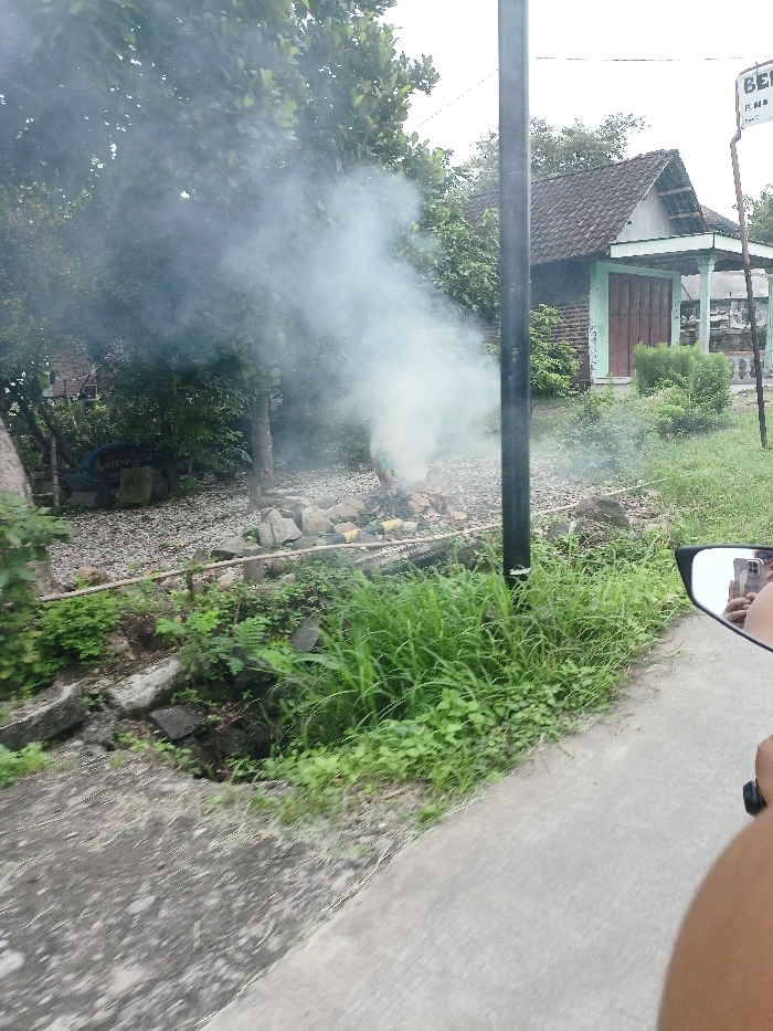 The image captures a rural or semi-rural scene in Pungging, Indonesia, from the perspective of a person on a moving motorcycle during daytime.
The central activity is an outdoor fire producing a large plume of thick white-grey smoke, rising from a pile of burning debris, likely organic waste or trash, on a gravelly patch of ground.
In the background, a modest, single-story house with a dark tiled roof, brick walls, and light-colored trim around its windows and a brown wooden door stands amidst abundant green trees and dense vegetation. To the left of the smoke, a pile of old tires or other refuse is partially visible. A black utility pole stands prominently on the right side, between the burning site and the house.
The foreground shows a concrete path or roadside, bordered by tall green grass and a ditch or drainage channel. The right rearview mirror of the motorcycle is visible in the bottom right corner, reflecting a person's arm, possibly holding a smartphone, suggesting the photo was taken while riding.
The weather appears overcast, indicated by the soft, diffused lighting. A white sign is partially visible behind the utility pole, near the house, displaying the partial text "BER" and smaller, less legible text that might read "P. M" or "P. MB". The scene reflects a common practice of open burning in a verdant Indonesian setting.