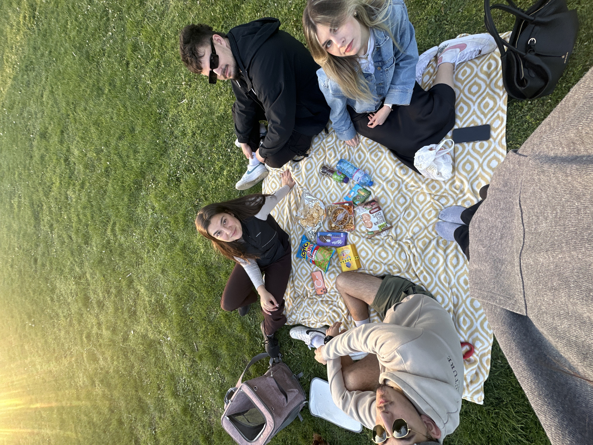 A group of four young adults is having a picnic on a green grassy area, possibly a park, in Sofia, Bulgaria. They are sitting on a yellow and white patterned blanket. The picnic spread includes snacks such as chips, nuts, chocolate bars, and water bottles. One woman is wearing a black top and brown pants, another is wearing a denim jacket and black skirt, and one man is wearing a black hoodie and sunglasses. The fourth person is wearing a beige hoodie and sunglasses. There is a pet carrier bag next to the blanket and a black handbag nearby. The scene is lit by the sun, with the light appearing brighter in the lower left of the image.