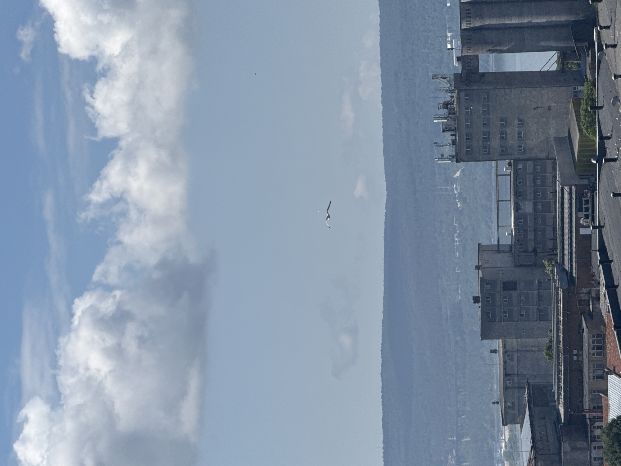 The image, when viewed in its correct horizontal orientation, depicts an industrial cityscape under a bright, partly cloudy daytime sky. On the left side, white cumulus clouds are scattered across a clear blue sky, with the clouds appearing more dense towards the far left. A prominent white bird, resembling a seagull with dark wing tips, is captured in flight near the center of the frame against the clear sky, soaring with its wings outstretched. A tiny dark speck, possibly another distant bird, is visible higher and to the left of the main bird.
On the right side of the image, several grey, concrete industrial buildings dominate the foreground and midground. These structures feature multiple stories with numerous small, dark rectangular windows. Some buildings have flat roofs equipped with various industrial elements like vents or machinery. A large, tower-like structure, possibly a silo or part of a port facility, stands tall in the upper right, distinguished by a large rectangular opening. The flat roof of a building in the immediate right foreground shows several dark, cylindrical fixtures.
In the background, behind the buildings, a hazy, dark blue landmass, likely a range of hills or mountains, stretches across the horizon. A narrow strip of water is visible between the industrial buildings and these distant landforms. The overall impression is one of a bustling port or industrial area situated by a body of water, backed by natural topography, under bright daylight. No people or discernible text are visible in the image. The scene suggests an active industrial setting with clear weather.