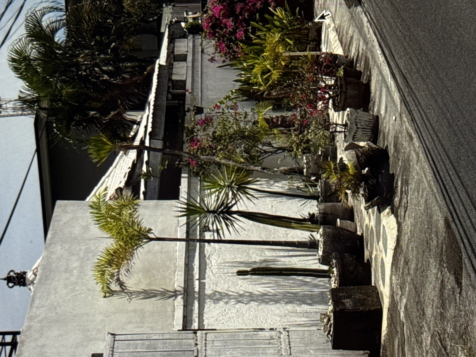 The image depicts a vibrant streetscape or pathway in Kuta Selatan, Indonesia, characterized by lush tropical vegetation lining a building. The scene is brightly lit by the sun, casting distinct shadows.
Along the right side of the frame, a light-colored building with a textured or rendered facade is visible. Adorning the front of this building is a series of potted plants and trees, housed in various square, rectangular, and fluted concrete or stone planters. The vegetation includes several types of palm trees, some tall with dense fronds, and others with more sparse, yucca-like foliage. Numerous bushes with vibrant pink flowers, likely bougainvillea, add splashes of color, intermingspersed with other green leafy plants. One crop also shows a small cactus. The shadows of these plants are sharply cast upon the building's walls and the ground, indicating a sunny day, likely midday or early afternoon.
On the left side, a paved surface, possibly a sidewalk or a narrow road, stretches towards the background. Parts of the ground show dark stains or wet patches. In the lower left corner, a metal fence or gate is partially visible, topped with a decorative finial. Overhead, against a clear sky, some wires or cables can be seen. No people or discernible activities are taking place; the scene is static, showcasing the street's flora and architecture. No visible text is present in the image.