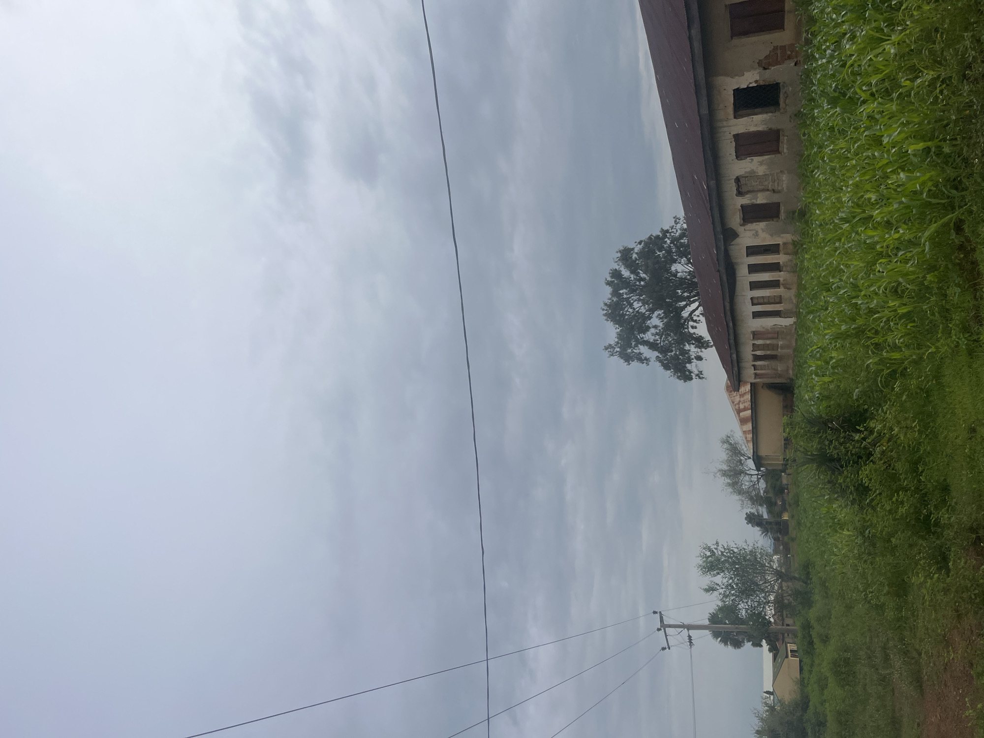 An overcast sky looms above a rural landscape in Unguwar Saya, Nigeria. In the foreground, lush green crops, possibly corn, grow densely. To the right, a long, dilapidated building with a rusty tin roof stands, its facade crumbling and windows boarded or empty. A large tree with dense foliage is situated behind the building. In the mid-ground to the left, a power pole with wires stretches across the frame, with other low-rise structures visible further back amidst greenery and trees. The overall scene depicts a slightly neglected rural setting under a grey sky.