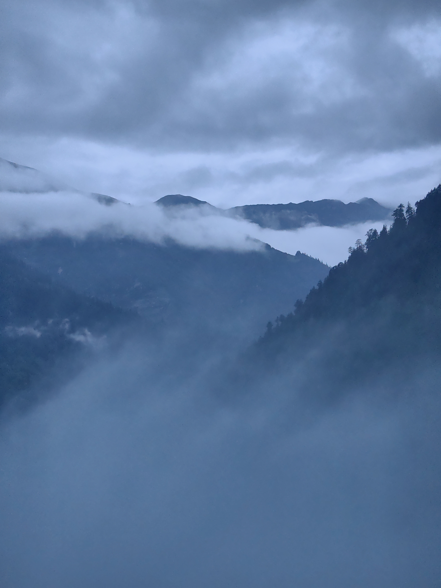 The image depicts a mountainous landscape enveloped in thick fog and clouds. The dominant colors are various shades of blue and gray, creating a somber and atmospheric scene. In the foreground, dense fog obscures the lower parts of the mountains and the ground, giving a sense of depth and mystery. As the eye moves upwards, layers of mountains are visible, their peaks partially hidden by swirling clouds and mist. Some trees, dark silhouettes against the lighter fog, dot the slopes of the nearer mountains. The sky is overcast with heavy, dark clouds that blend seamlessly with the fog, obscuring any clear horizon. The overall impression is one of a remote and possibly humid environment, characteristic of mountainous regions. The image does not contain any people, objects, or discernible actions; it solely focuses on the natural, moody environment. The location is identified as the city of Vashisht, India, known for its mountainous terrain and hot springs, which can often be associated with foggy or misty conditions.