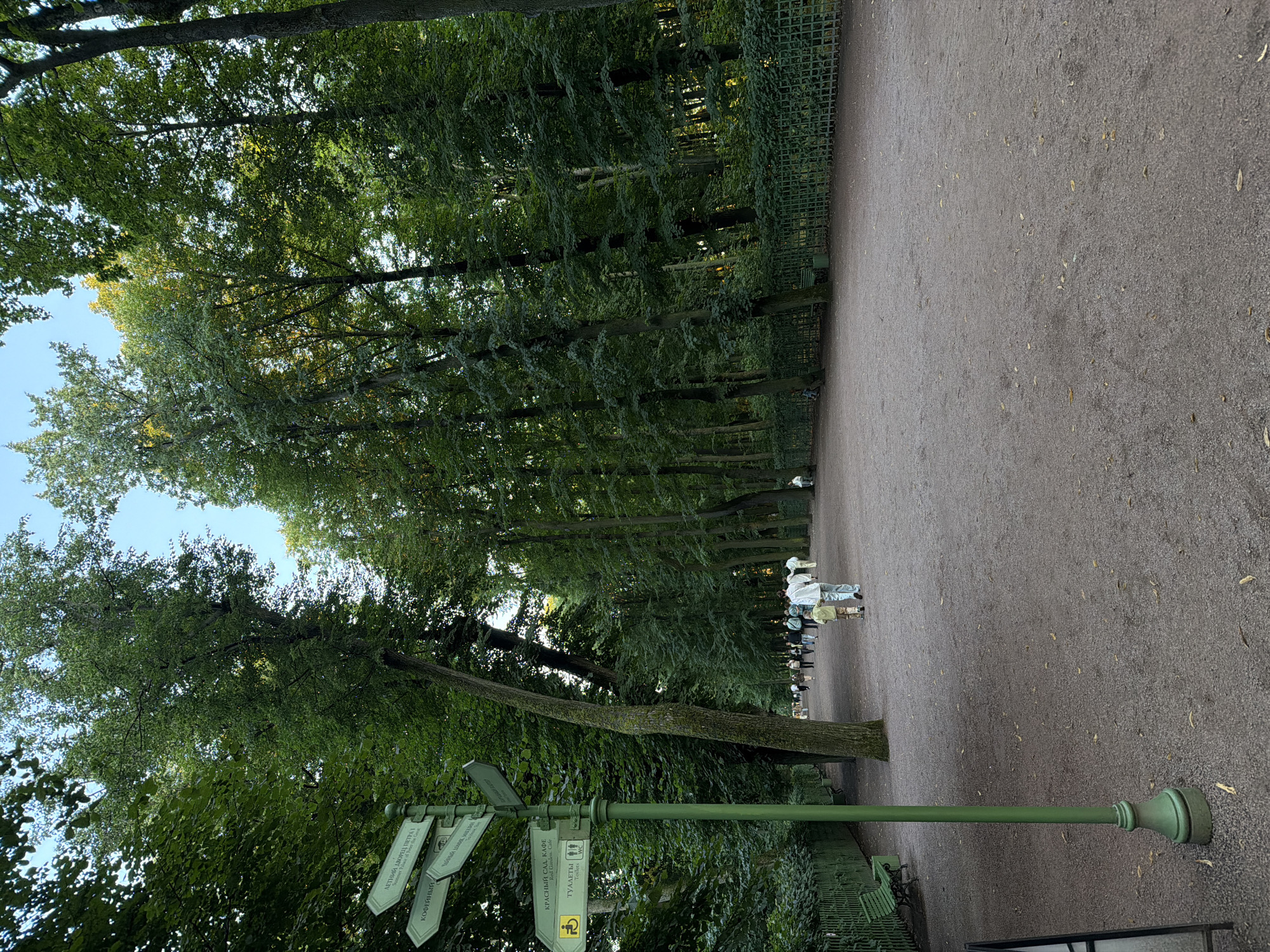 The image depicts a sun-dappled pathway in a park, likely the Summer Garden in Saint Petersburg, Russia, characterized by a line of mature trees on the right, forming a dense canopy. A green directional signpost stands on the left, with pointers indicating "ЛЕТНИЙ ДВОРЕЦ ПЕТРА I" (Peter I's Summer Palace), "КОФЕЙНЫЙ" (Coffee Shop), "КРАСНЫЙ САД. КАФЕ" (Red Garden Cafe), and "ТУАЛЕТЫ" (Toilets). Several people are walking along the path, including a child with an adult in the foreground, and others further in the distance. A green metal fence runs along the left side of the path, with benches and trees visible behind it. The ground is covered in fine gravel, with scattered leaves. The overall atmosphere is serene and natural.