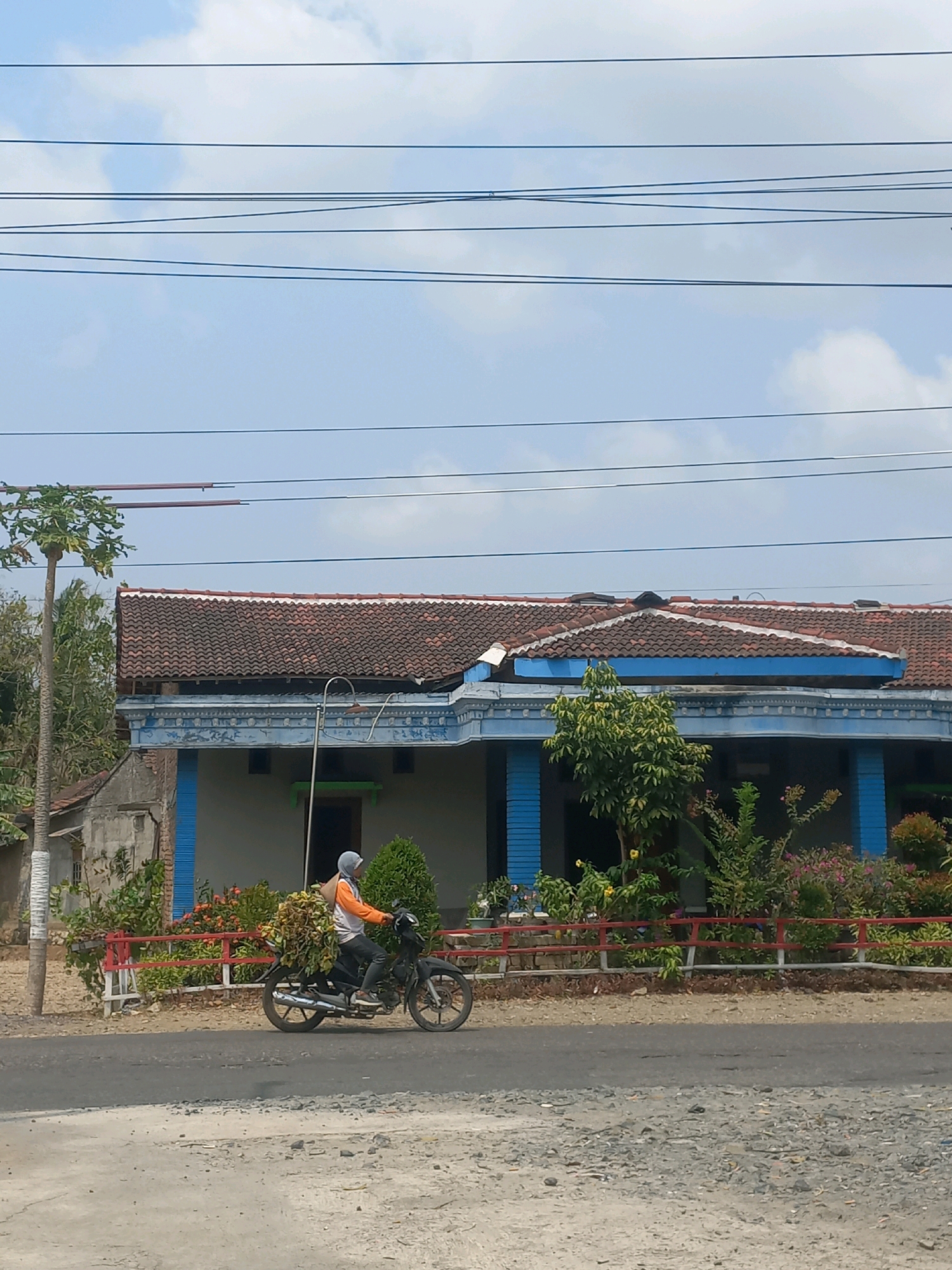 A person rides a motorcycle on a paved road in front of a building. The rider is wearing a light-colored headscarf and an orange shirt. The motorcycle is dark colored and carries a large load of foliage on the back. The building behind the rider has a red tile roof and light blue trim. There are trees and plants in front of the building, separated from the road by a red railing. The sky above is blue with scattered clouds. The scene appears to be in a rural or suburban area of Baturetno, Indonesia, with power lines visible against the sky.