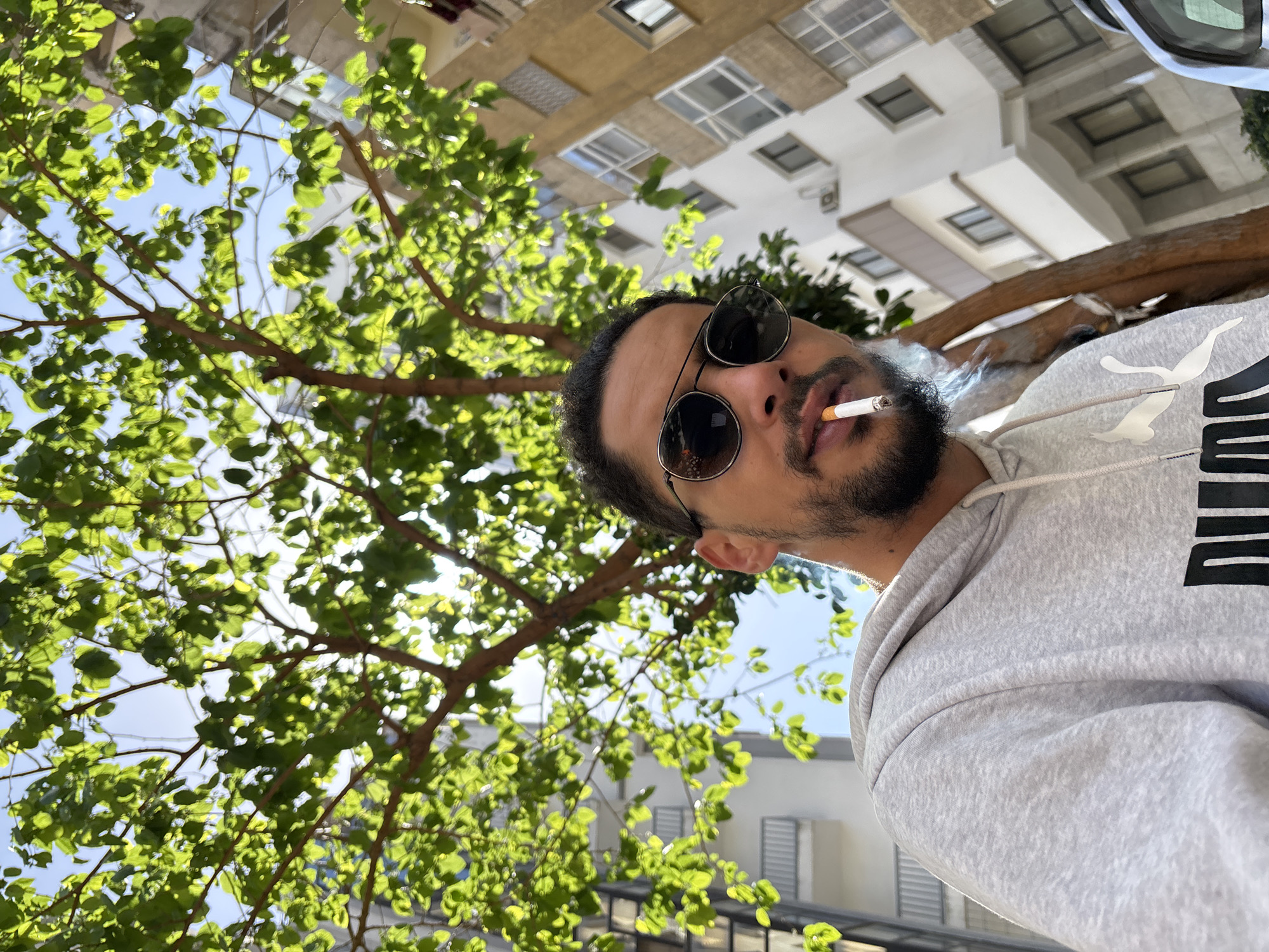 A low-angle outdoor portrait captures a male individual, visible from the chest up, looking directly towards the viewer. He has a dark beard and mustache, and wears dark, aviator-style sunglasses with thin metal frames. He is dressed in a light grey hooded sweatshirt featuring the PUMA logo. A lit cigarette is positioned between his lips, with a plume of smoke visibly rising from it. The background features a large tree with bright green leaves and visible branches, through which patches of clear blue sky are visible. Behind the foliage, multi-story urban buildings with windows and balconies are present; one building on the right appears light brown, while another on the left is white with grey balcony railings. The scene is brightly illuminated by natural sunlight filtering through the leaves. This scene is located in the city of Tanger, Morocco.