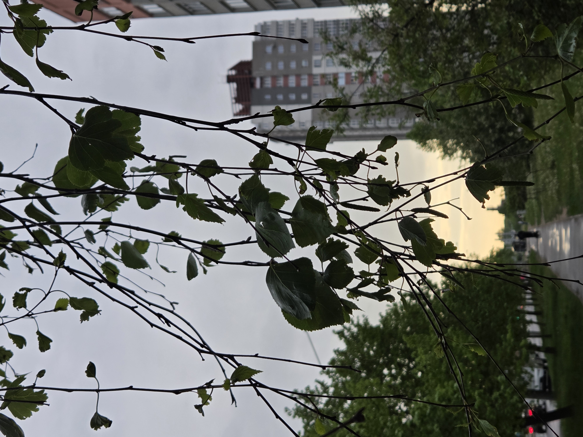 The image depicts a cityscape scene in an unknown location. In the foreground, tree branches with green leaves are silhouetted against a cloudy sky. A partially constructed or renovated high-rise building with a red and gray facade is visible in the middle ground. To the right, a blurred street scene includes green trees, a wet road surface, and indistinct vehicles. The general impression is one of overcast weather and urban development.