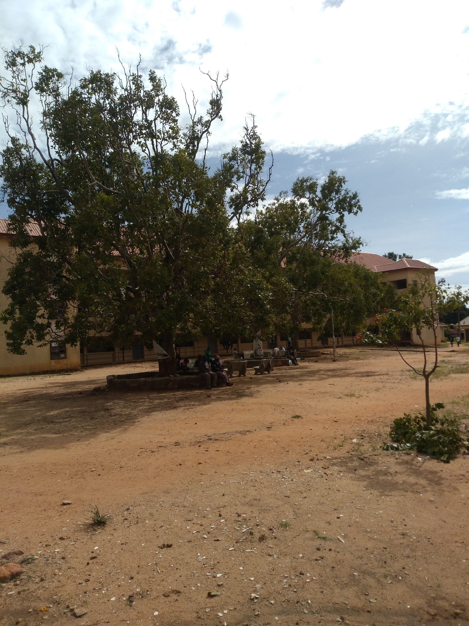 This outdoor photograph, captured in Jos, Nigeria, displays a well-lit scene primarily composed of reddish-brown dirt and sand, indicative of dry soil conditions. A large, mature tree with a dense canopy of green leaves dominates the left-center, its broad branches extending across the frame. The base of this tree is surrounded by a low, circular concrete or stone structure, functioning as a bench. Multiple individuals, attired in casual clothing, are seated on this circular bench and on other rectangular concrete benches positioned further back, all situated within the shade provided by the trees.
In the background, a two-story building with light beige walls and a prominent reddish-brown corrugated roof stretches horizontally across the scene. The building features numerous windows, some of which appear to have dark grates or bars. To the far right, a younger, smaller tree or sapling with sparse green leaves is visible. A pile of green foliage is situated near the base of this sapling. The ground is generally clear but shows scattered small stones, pebbles, and minimal debris. The sky above is bright, featuring scattered white cumulus clouds against a pale blue expanse. Strong shadows are cast by the trees and individuals onto the ground, indicating direct sunlight.