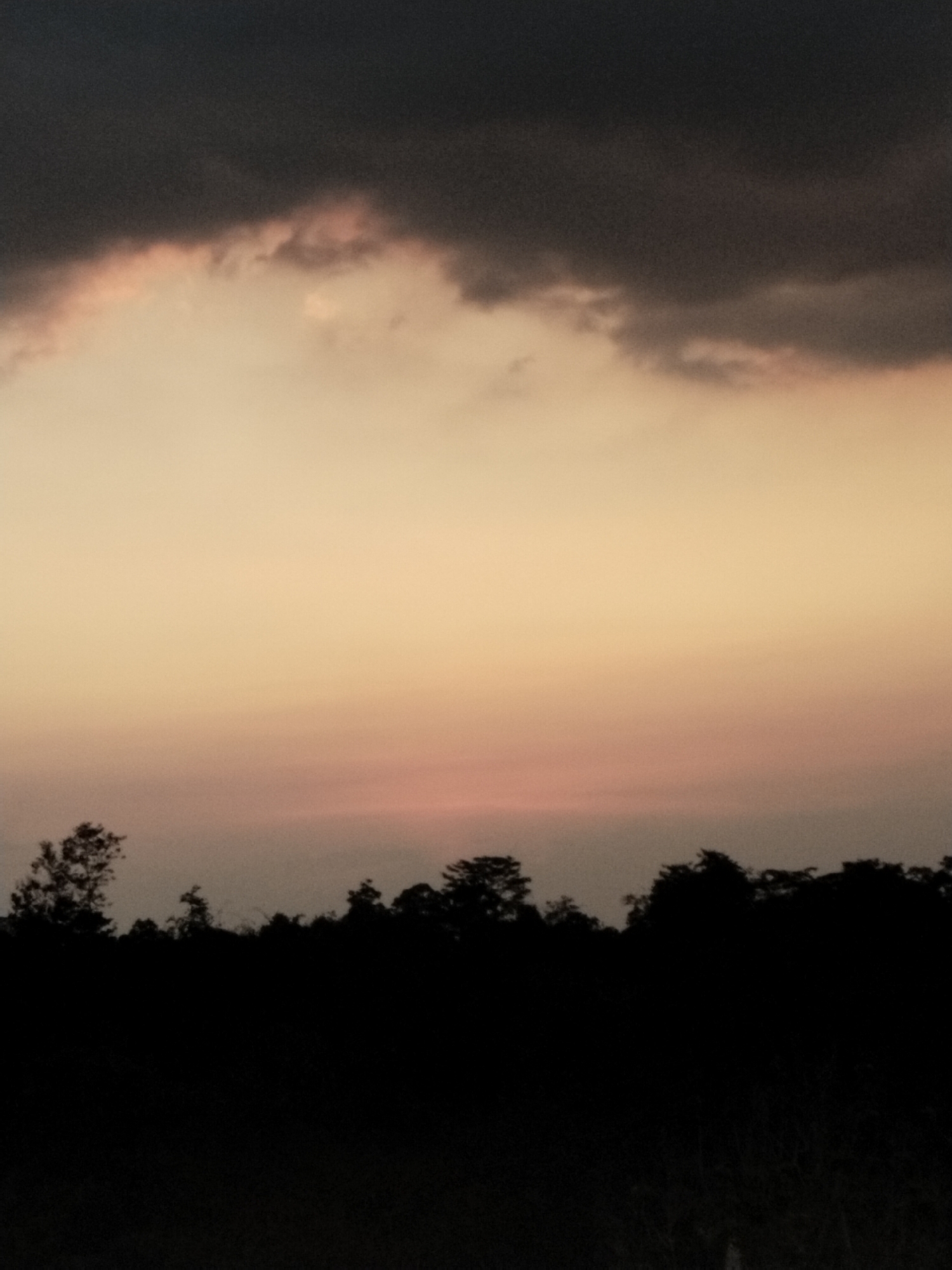 The image depicts a twilight landscape with a dark, silhouetted treeline against a gradient sky. The sky transitions from a deep, ominous dark grey at the top, possibly indicating storm clouds, to a soft, peachy-orange hue lower down. A band of muted pink is visible just above the horizon line. The treeline is composed of dense, irregularly shaped foliage, suggesting a natural, uncultivated area. The overall mood is serene yet somber. The location is unspecified, rendering a city context as "Unknown, Unknown." No people, actions, or interactions are present in the scene.
