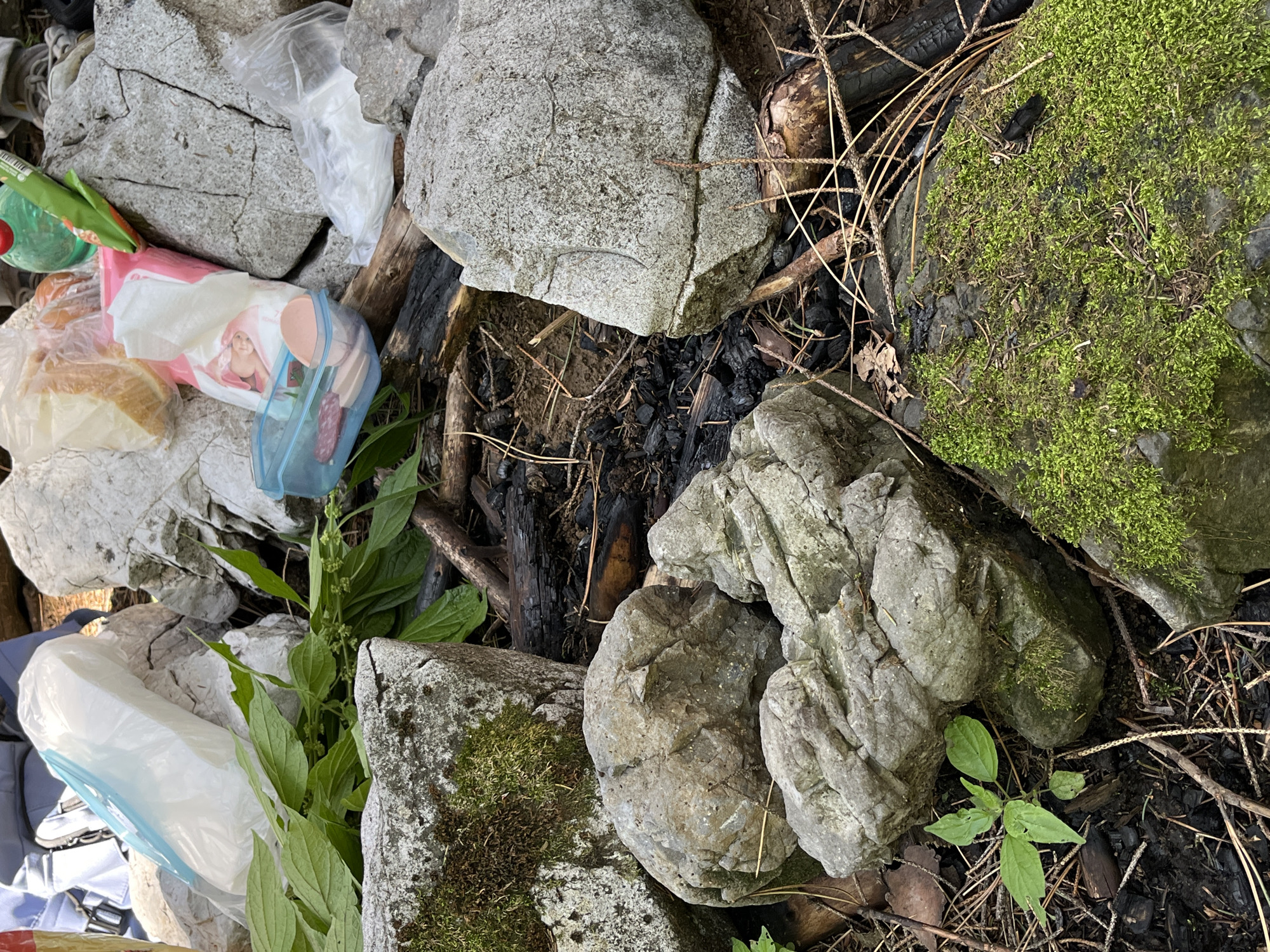 The image shows a pile of rocks and debris, possibly from a campsite or picnic area. There are several food items scattered around, including bread, a packet of chips, and a plastic container with sliced meat and what appears to be an egg. A green bottle and a pink packet are also visible. The ground is covered with dirt, twigs, and burnt wood. Some green plants are growing amongst the rocks. The scene is located outdoors, with natural lighting. The specific location in Petrovac-na-Mlavi Municipality, Serbia, is not discernible from the visual information provided.