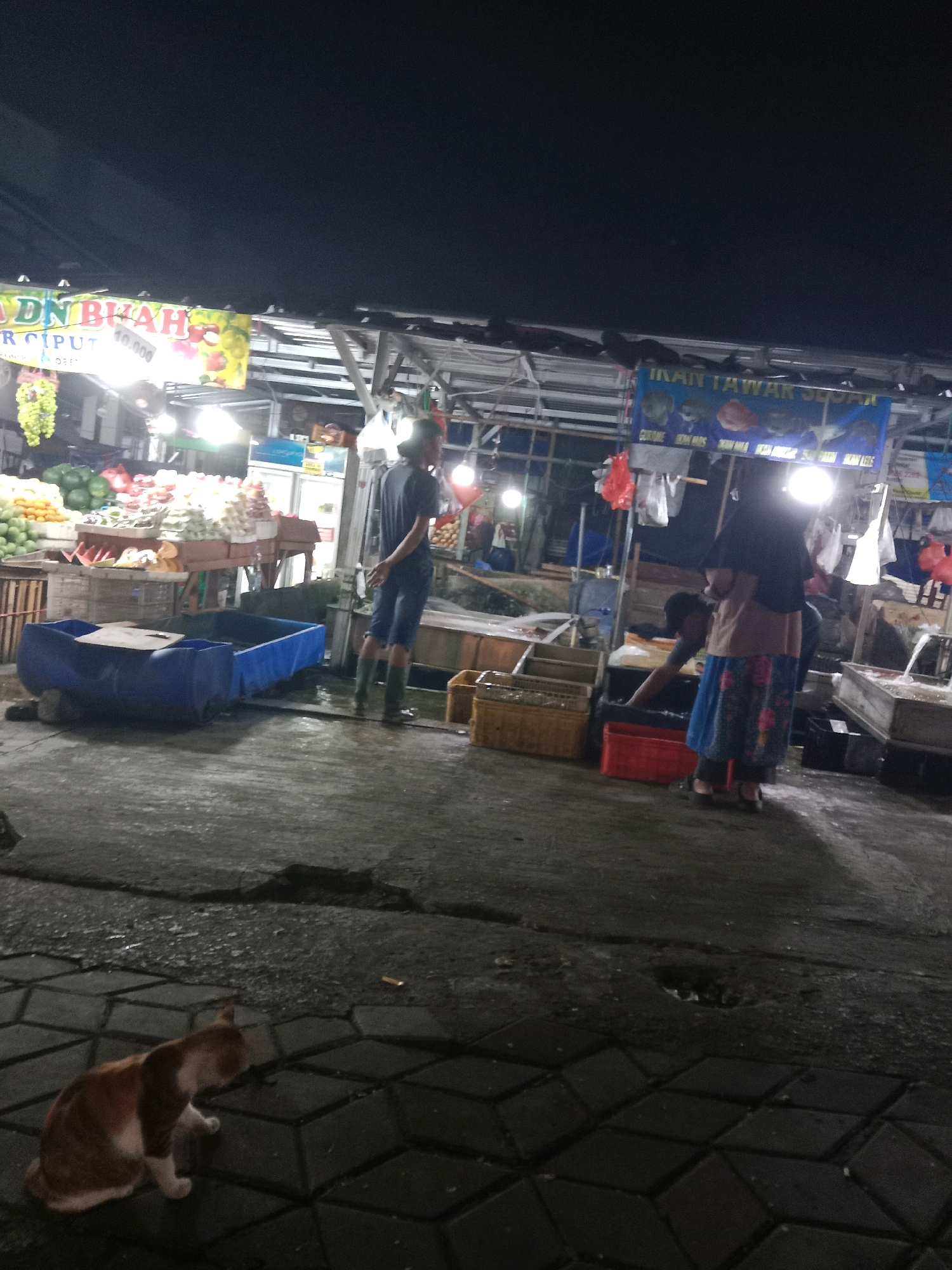 The image depicts an outdoor market scene at night in South Tangerang, Indonesia. A ginger and white cat sits on a patterned paved surface in the foreground. In the mid-ground, there are market stalls with various goods displayed, including fruits and possibly fish. Several people are visible: a man wearing a dark t-shirt and shorts is standing near a stall, and two people, one wearing a headscarf and a colorful skirt, are near another stall, appearing to interact with the goods. Blue plastic tubs are present on the ground. The environment is lit by artificial lights from the stalls, casting shadows on the wet ground. The overall atmosphere suggests a bustling night market.