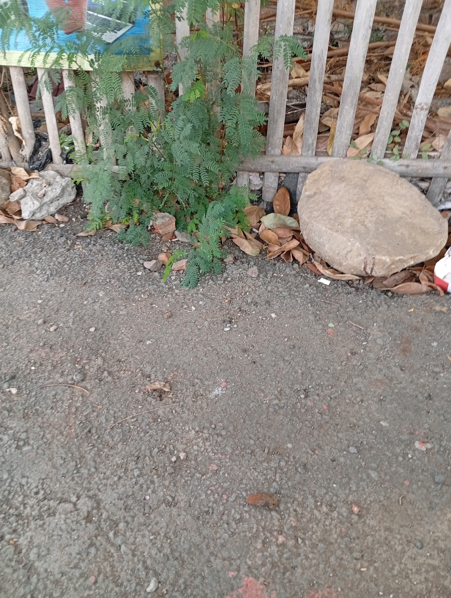 The image depicts an outdoor scene near a wooden fence in Karawang, Indonesia. In the background, a leafy green plant grows against the fence. Scattered around the base of the fence are dried leaves, rocks, and some debris. A large, rounded stone rests on the ground near the fence. The foreground consists of a gravelly ground surface, with a few small pebbles and scattered leaves. The lighting suggests it is daytime. There are no people visible in the image.
