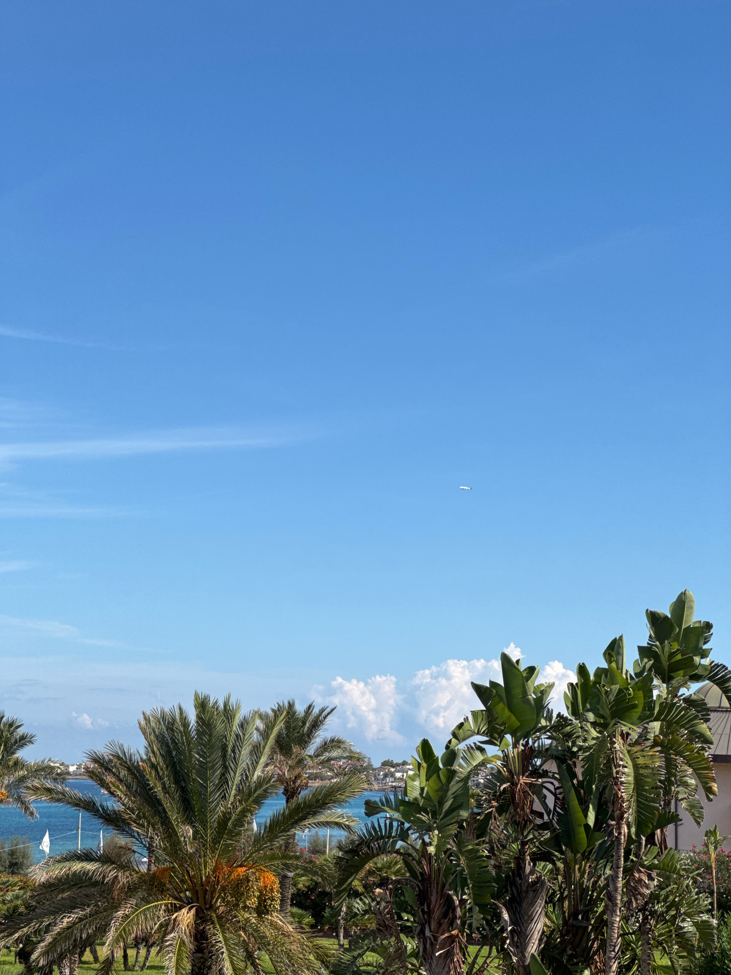 The image depicts a clear, bright blue sky with a faint wispy cloud formation near the horizon. A small, white airplane is visible in the upper right quadrant of the sky, appearing as a tiny speck against the vast expanse. Below the sky, a lush green landscape unfolds, dominated by various palm trees and large-leafed tropical plants. In the middle ground, the turquoise waters of the Mediterranean Sea are visible, with a coastline dotted with buildings and more greenery in the distance, suggesting a coastal town. White flags on poles are planted along the shoreline. The foreground is filled with the dense foliage of palm trees, some bearing clusters of fruit. A portion of a building with a light-colored facade is partially visible on the far right, suggesting a resort or residential area. The overall scene evokes a tropical or Mediterranean ambiance.