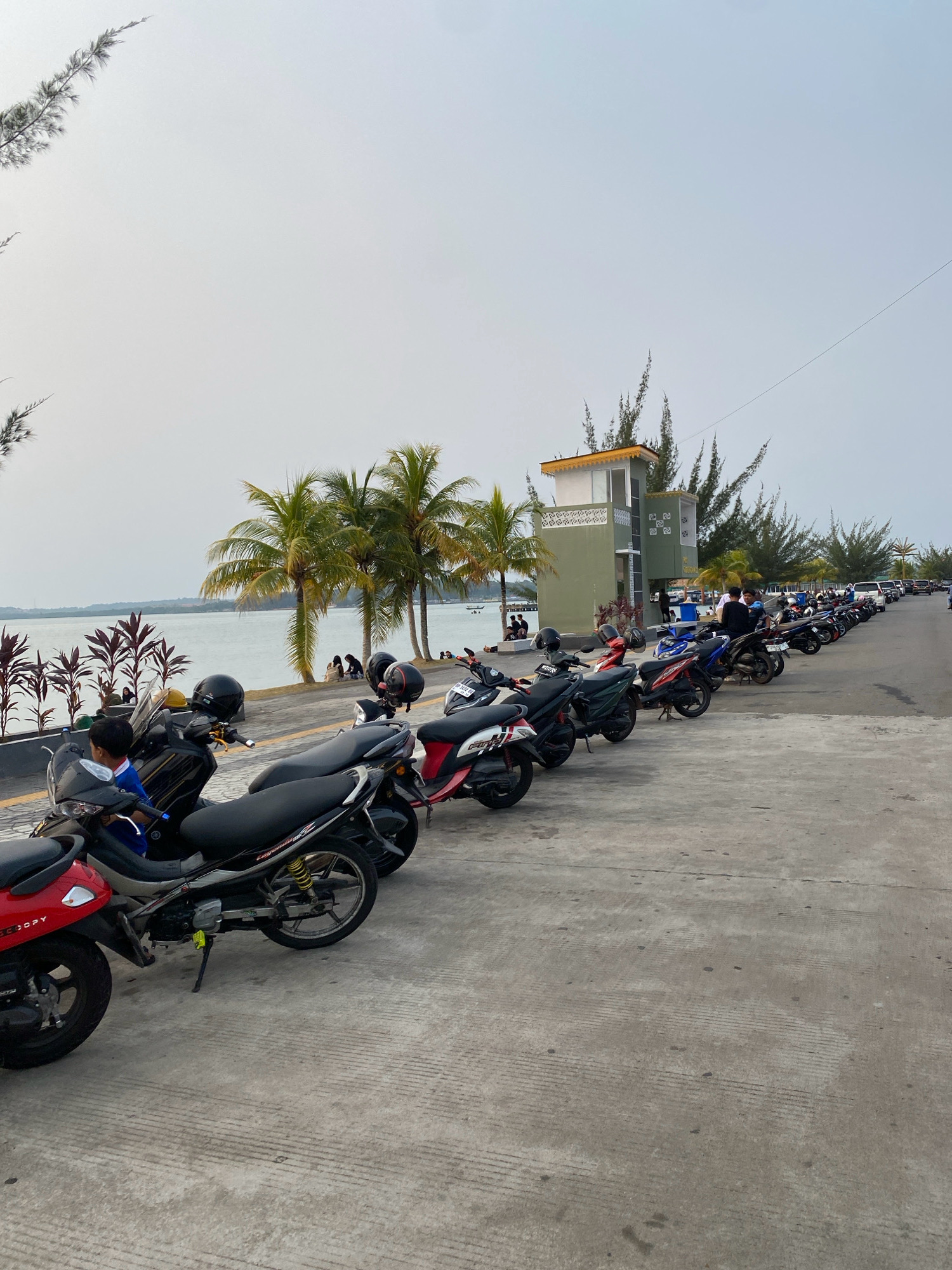The image depicts a scene along a waterfront promenade in Tanjung Pinang, Indonesia, likely on a cloudy day given the diffuse light. A line of parked motorcycles stretches along the paved pathway, which runs parallel to the water. In the foreground, several motorcycles are prominently displayed, including a red and white scooter and a black motorcycle with a child seated on it. Beyond the motorcycles, a body of water is visible, with a distant shoreline and scattered individuals relaxing by the water's edge. Palm trees and other vegetation are scattered throughout the landscape, with a distinctive green and white building with a yellow roof visible in the mid-ground. The overall atmosphere suggests a leisurely public space, possibly a park or recreational area, frequented by locals.