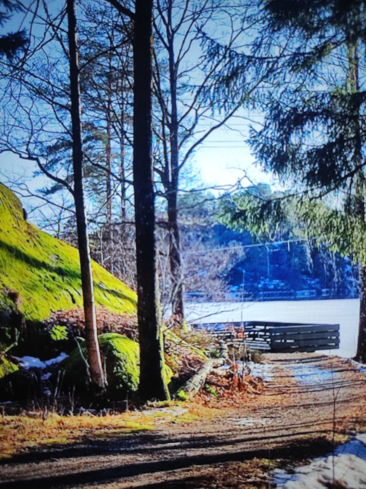 The image depicts an outdoor scene in a wooded area with a body of water in the background. In the foreground, a path covered with dirt and leaves leads towards the water. To the left of the path, a large moss-covered rock formation is visible, with scattered patches of snow at its base. Several trees with bare branches and some evergreen trees are scattered throughout the scene. In the middle ground, a wooden structure, possibly a pier or a viewing platform, extends over the water. The water is calm and reflects the blue sky. The overall impression is one of a natural landscape in winter or early spring, with some signs of human presence through the wooden structure.
