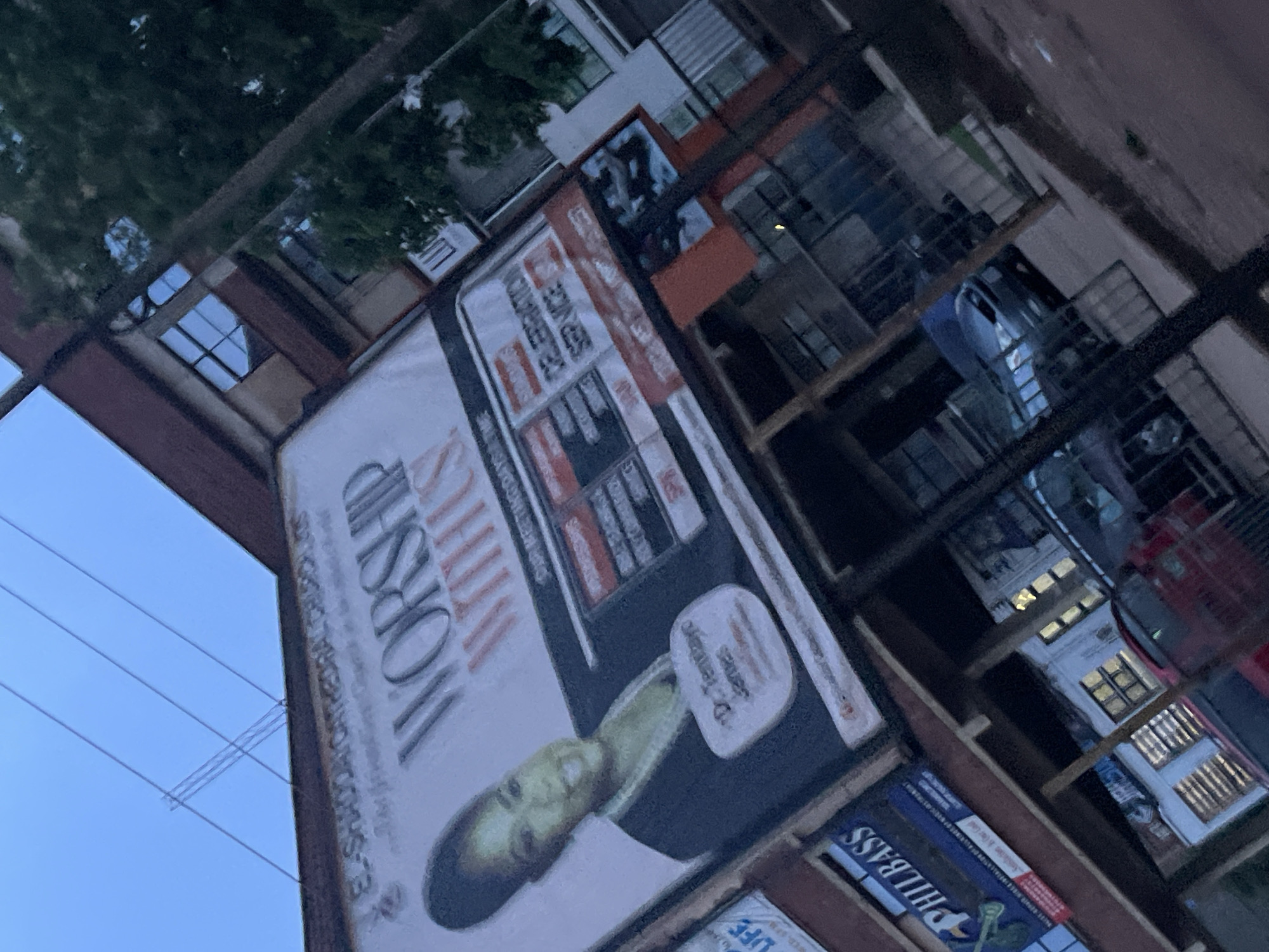 The image captures a billboard advertising "EL-SHADDAI CATHEDRAL CHURCH LTD WORSHIP WITH US" and featuring a portrait of a woman identified as "Dr. Tentayo James." The billboard is tilted and partially obscured by electrical wires and a tree. Below the main billboard, other smaller advertisements are visible, including one for "PHILBASS." The scene appears to be in an urban setting with buildings and vehicles in the background. The lighting suggests it is either early morning or late evening. The overall composition is diagonal, contributing to a dynamic yet somewhat blurry presentation of the elements.