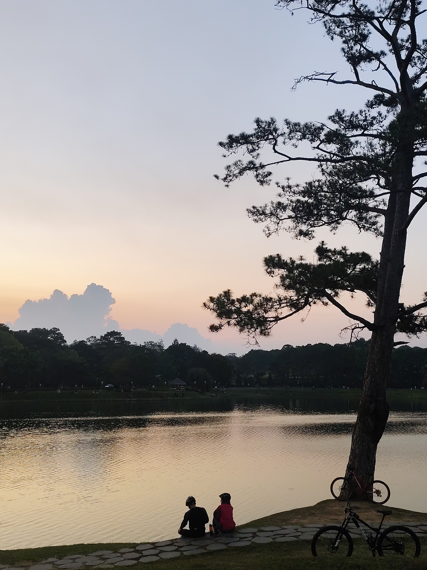 The image shows a tranquil scene at Xuan Huong Lake in Da Lat, Vietnam, taken at dusk. The sky transitions from orange near the horizon to a lighter shade of blue/purple higher up. Fluffy clouds are visible in the distance. A large pine tree dominates the right side of the frame, its silhouette contrasting against the sky. The lake's surface is relatively calm, reflecting the fading light.
On a small, grassy patch at the lake's edge, two individuals are seated, appearing to be observing the sunset. One person is wearing dark clothing, while the other wears a pink/red jacket. Two mountain bikes are parked nearby. One is leaning against the pine tree, and the other is resting on the grass.