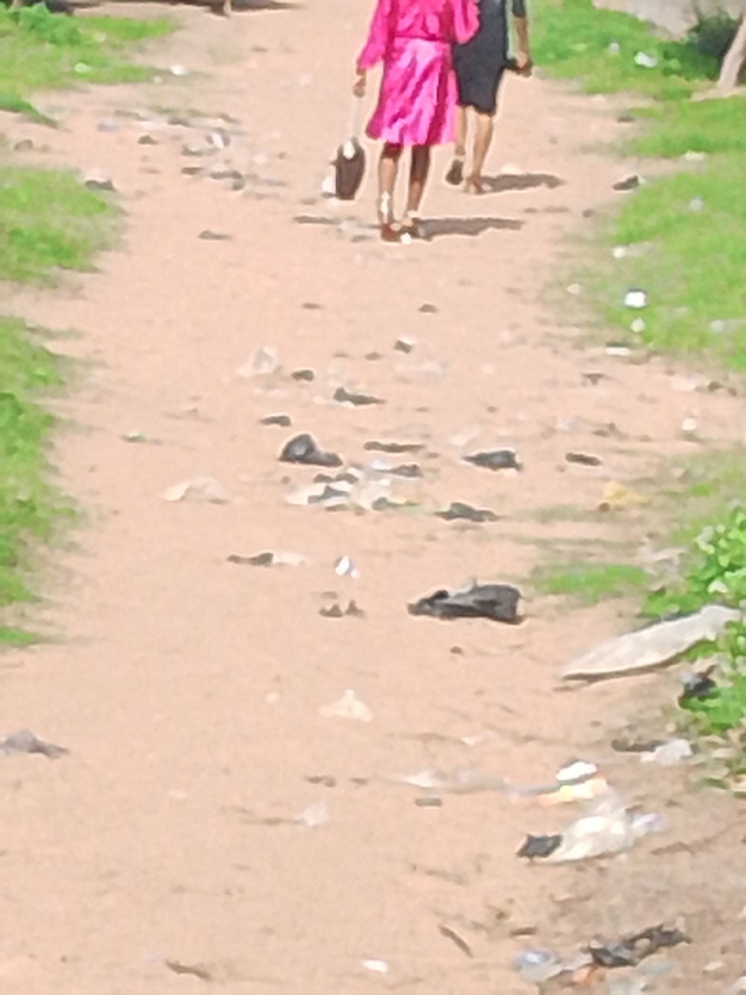 Two individuals are walking on a dirt path in Jalingo, Nigeria. The person in front is wearing a bright pink dress and carrying a dark-colored bag. The person behind them is wearing a black dress. The path is lined with sparse green vegetation on either side. The ground is a mix of dirt, small stones, and scattered litter, suggesting an unpaved, possibly rural or undeveloped area. The lighting and shadows indicate it is likely daytime. The scene appears to be an everyday moment of people moving through their environment. There is no visible text in the image.