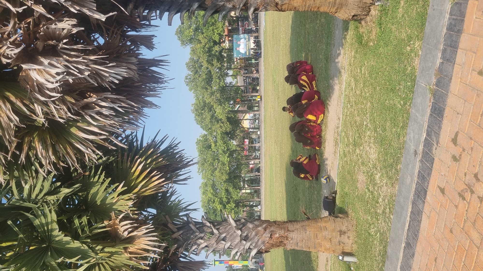 A group of children, wearing maroon and yellow uniforms, are sitting in a circle on a grassy field. They appear to be facing inwards, possibly listening to someone or engaged in an activity. There is a volleyball near the circle. Two palm trees with large fronds frame the scene, one on the left and one on the right, with one in the foreground. In the background, there are numerous trees forming a lush green line, and beyond that, buildings and billboards are visible, suggesting an urban or semi-urban environment. The sky is clear and blue. Based on the billboard visible in the background, which features Indonesian text and images of people, this scene is likely located in Jombang, Indonesia. The ground in the foreground is paved with brick in a herringbone pattern, with a concrete border.