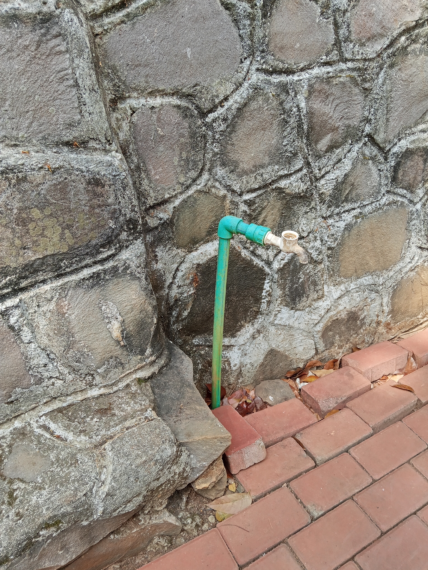 A green PVC pipe connected to a faucet protrudes from a wall constructed of irregular, grey stones. The faucet is made of white plastic and has a tarnished metal handle. The pipe extends downwards, emerging from the ground near a red brick pathway. Dried leaves are scattered on the ground around the base of the pipe and stones. The scene appears to be outdoors, possibly in a garden or courtyard, with the wall acting as a boundary. The lighting suggests it is daytime, with shadows indicating the direction of the sun. The image does not contain any people or animals. The location is in Semarang, Indonesia.