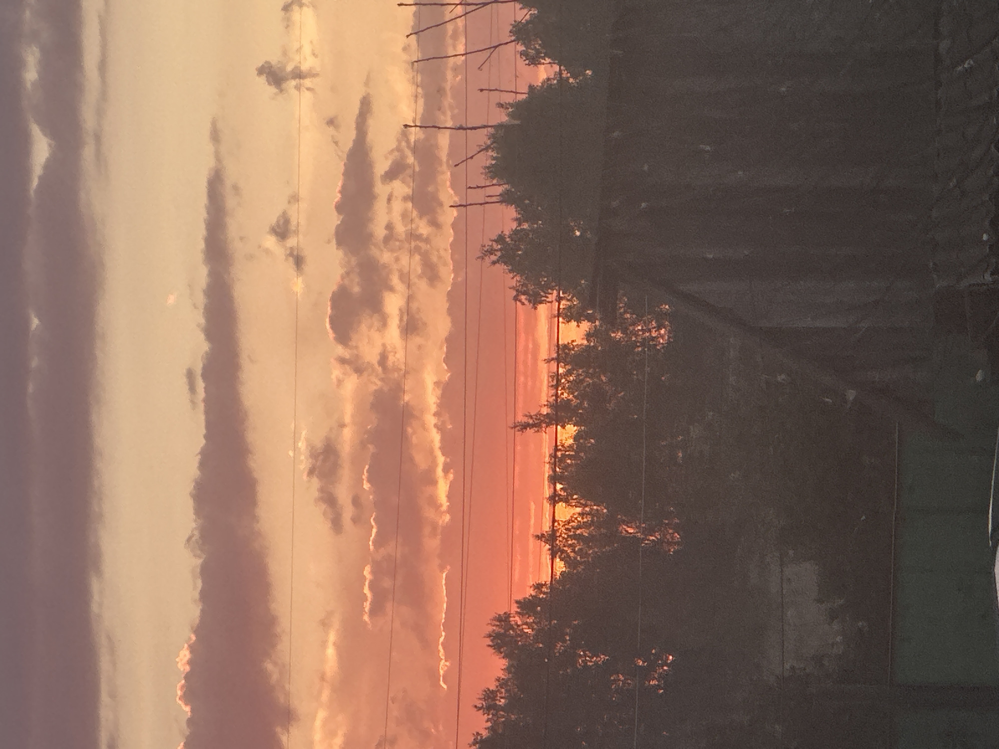 This is a vertical, medium-shot, eye-level, natural light photograph of a sunset over a rural or suburban area, likely in the city of Krasnogorsky, Russia. The sky is filled with a gradient of orange and pink hues, with streaks of darker clouds interspersed. The setting sun casts a warm glow on the clouds, creating a dramatic and colorful display.
Below the sky, a dense line of dark green trees stretches across the middle ground, silhouetted against the vibrant sunset. The trees appear to be a mix of deciduous and coniferous varieties, with varied heights and densities. Several thin, dark wires run horizontally across the image, intersecting the sky and the tree line, suggesting the presence of power lines or telephone wires.
In the foreground, on the right side of the image, the roof and upper portion of a dilapidated, dark-colored building are visible. The roof appears to be made of corrugated material, possibly metal or asphalt shingles, and shows signs of age and wear. To the left of the building, a portion of a lower, dark green structure is visible, possibly a fence or shed. The overall atmosphere of the image is serene and somewhat melancholic, evoking a sense of quiet and solitude as the day draws to a close. No people are visible in the image.