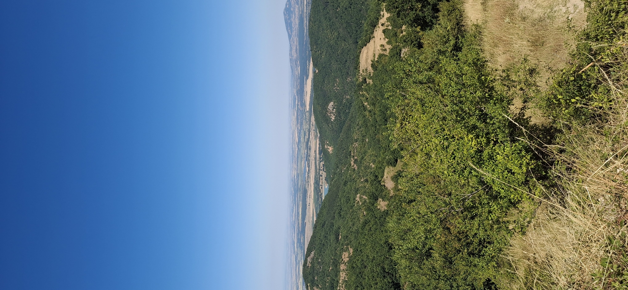 This is a vertical, wide-angle photograph taken from a high vantage point overlooking a verdant landscape under a clear blue sky. The foreground is dominated by dry, golden grass and a dense cluster of green bushes and trees.
Beyond the immediate foreground, rolling green hills covered in lush forests stretch into the middle ground. Scattered among the trees are patches of dry, brown earth. In the distance, a body of water, likely a lake, is visible, appearing as a bright blue patch.
The background reveals a vast, hazy expanse of flat land with agricultural fields, marked by different shades of green and brown. Faint outlines of distant hills and mountains complete the panorama, with one mountain range appearing more prominent on the far right.
The photograph appears to capture a scene in or around the village of Oreshets, Bulgaria, given its resemblance to the typical mountainous and agricultural terrain found in the region. There are no people or animals visible in the image. The lighting suggests it was taken during daylight hours, likely in the late morning or early afternoon due to the clear sky and the intensity of the sunlight. The overall atmosphere is serene and natural.