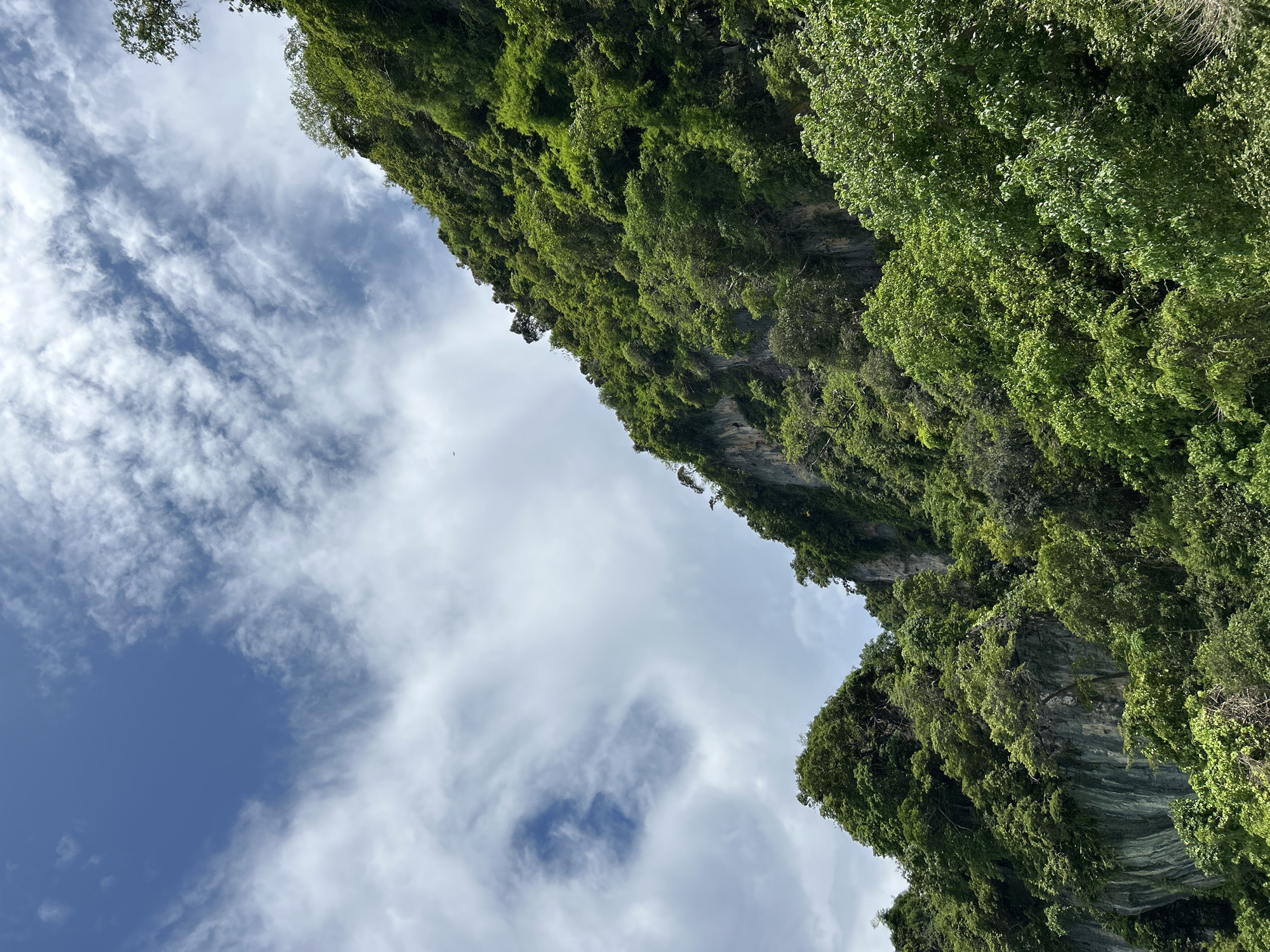 This image depicts a lush, green, mountainous landscape under a partially cloudy blue sky. The steep slopes are densely covered with vibrant green foliage, including trees and smaller plants, clinging to rocky outcrops and sheer cliff faces. The rock formations are visible in places, with a textured, grey appearance. The sky above is a bright blue, scattered with white, wispy clouds that create a dynamic contrast with the greenery below. The overall impression is one of a tropical, natural environment, likely a limestone karst formation commonly found in areas like Krabi province, Thailand, which is renowned for its dramatic coastal scenery and limestone cliffs. There are no people or man-made structures visible in this image.