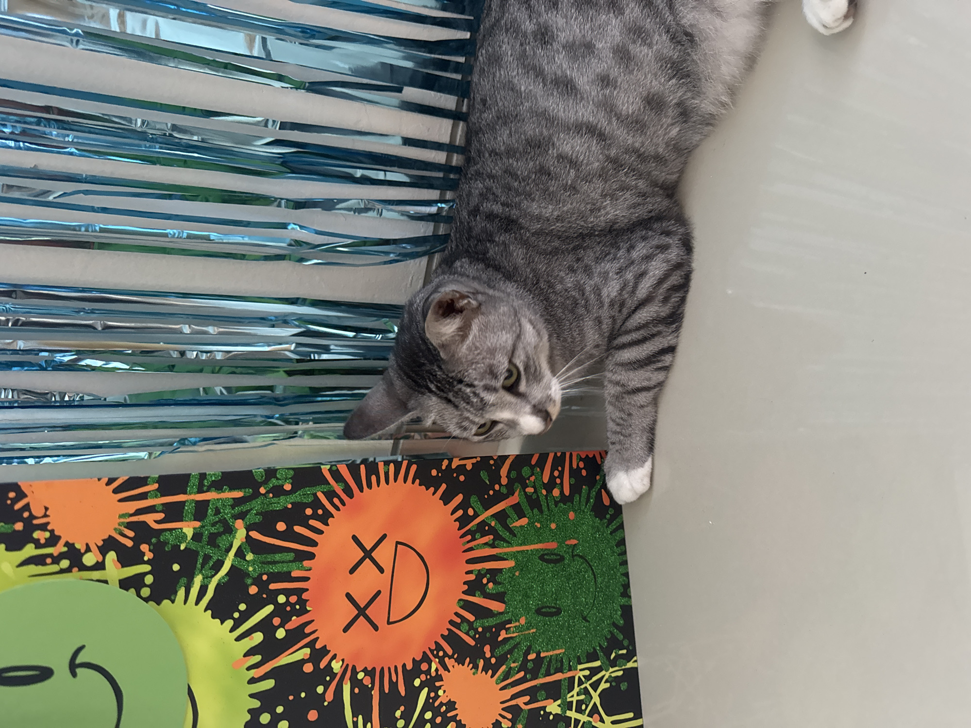 A grey tabby cat with distinct stripes and white paws is positioned on a light-colored, smooth surface, possibly a table or floor, looking down towards a decorated board. The cat's head is turned to the left, and its right front paw is extended over the edge of the surface, resting near the board.
To the left of the cat, and extending vertically in the background, are shiny blue, metallic streamers or tinsel, suggesting a festive or decorated environment.
Below the cat's head and paw, a black board or canvas is visible. This board features vibrant, splattered designs in orange, bright yellow, and green. Two prominent circular shapes dominate the board. One is orange with jagged edges, depicting a face with black "XD" symbols for eyes and a "D" for a mouth, giving it an expressive, playful look. Next to it, another circular shape is rendered in glittery green splatters, with simple black lines forming eyes and a nose/mouth. A third, partially visible green circular shape with a curved line suggesting a smile is seen in the bottom left corner of the board. The overall aesthetic of the board is bold and graphic, possibly related to pop art or emoji-inspired design.
The scene appears to be indoors in Kuta Selatan, Indonesia, with bright, even lighting indicative of daytime. The cat seems calm and attentive, possibly observing or about to interact with the colorful board.