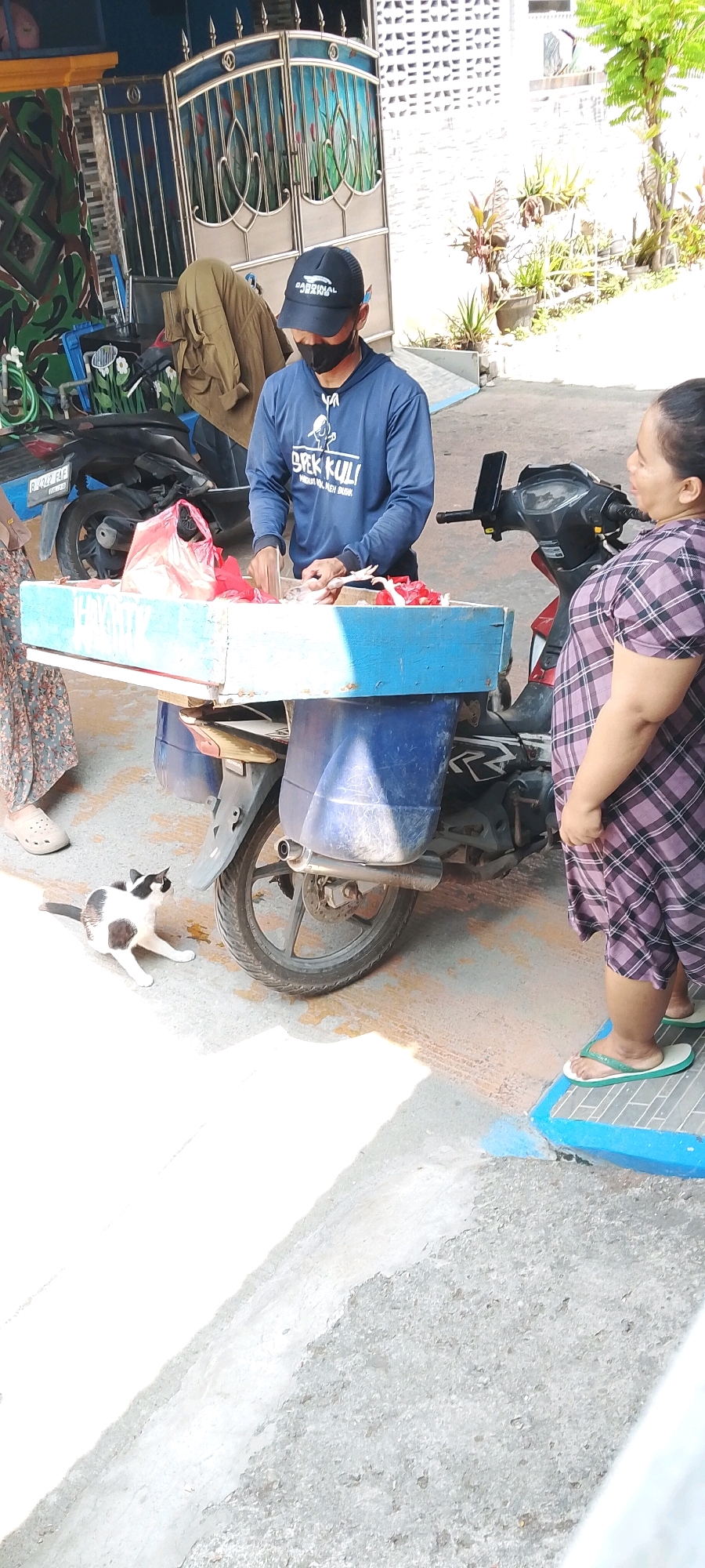 In Satriamekar, Indonesia, a street scene unfolds. A person wearing a blue hoodie and a black cap with a mask is preparing food, possibly chicken, from a blue and white cooler box mounted on a motorcycle. The cooler contains red plastic bags and what appears to be raw chicken. To the right, a woman in a purple and white plaid dress stands next to the motorcycle, facing the person preparing food. A black and white cat is positioned on the ground to the left, looking towards the motorcycle. In the background, a gate with decorative metalwork is visible, as well as a building with white textured walls and potted plants. The ground is a mix of concrete and rougher textured surfaces, with some light and shadow patterns indicating an outdoor setting.