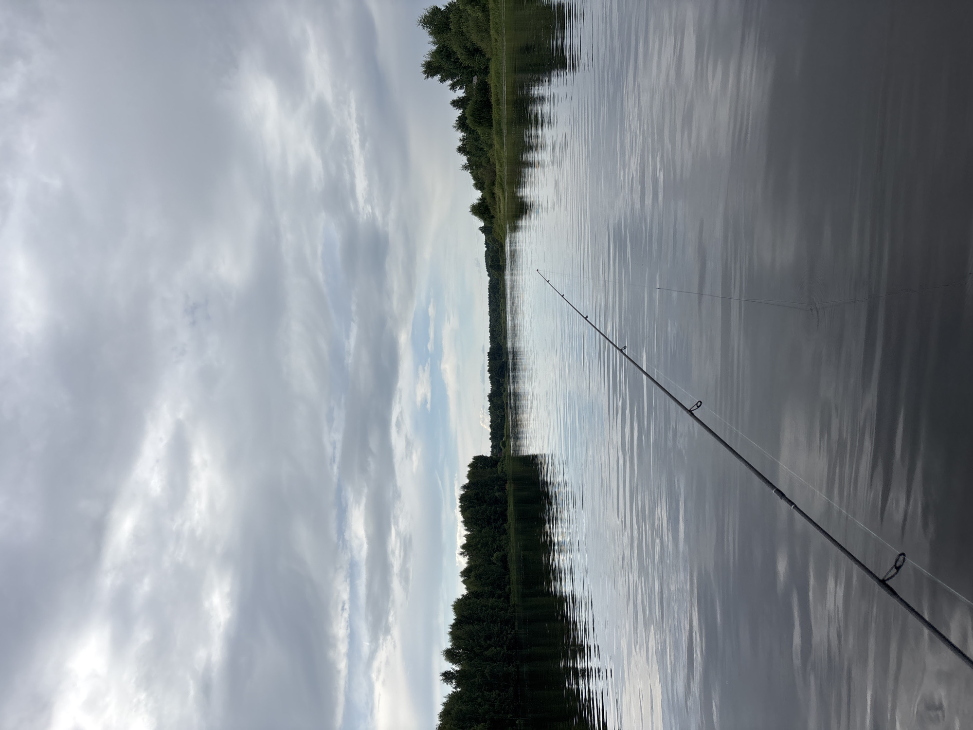 This is an outdoor, eye-level, vertical shot taken from a boat on a body of water, likely a river, with a fishing rod extending into the frame from the lower left. The water is calm and reflects the overcast sky and the tree line on the opposite bank. The sky is filled with dense, grey clouds, suggesting a subdued or potentially rainy day. The distant shore is lined with a dense forest of dark green trees. The overall impression is one of tranquility and solitude, with the focus on the act of fishing and the natural environment. The location is identified as Anteplevo (Okhotinskoe S/P), Russia.