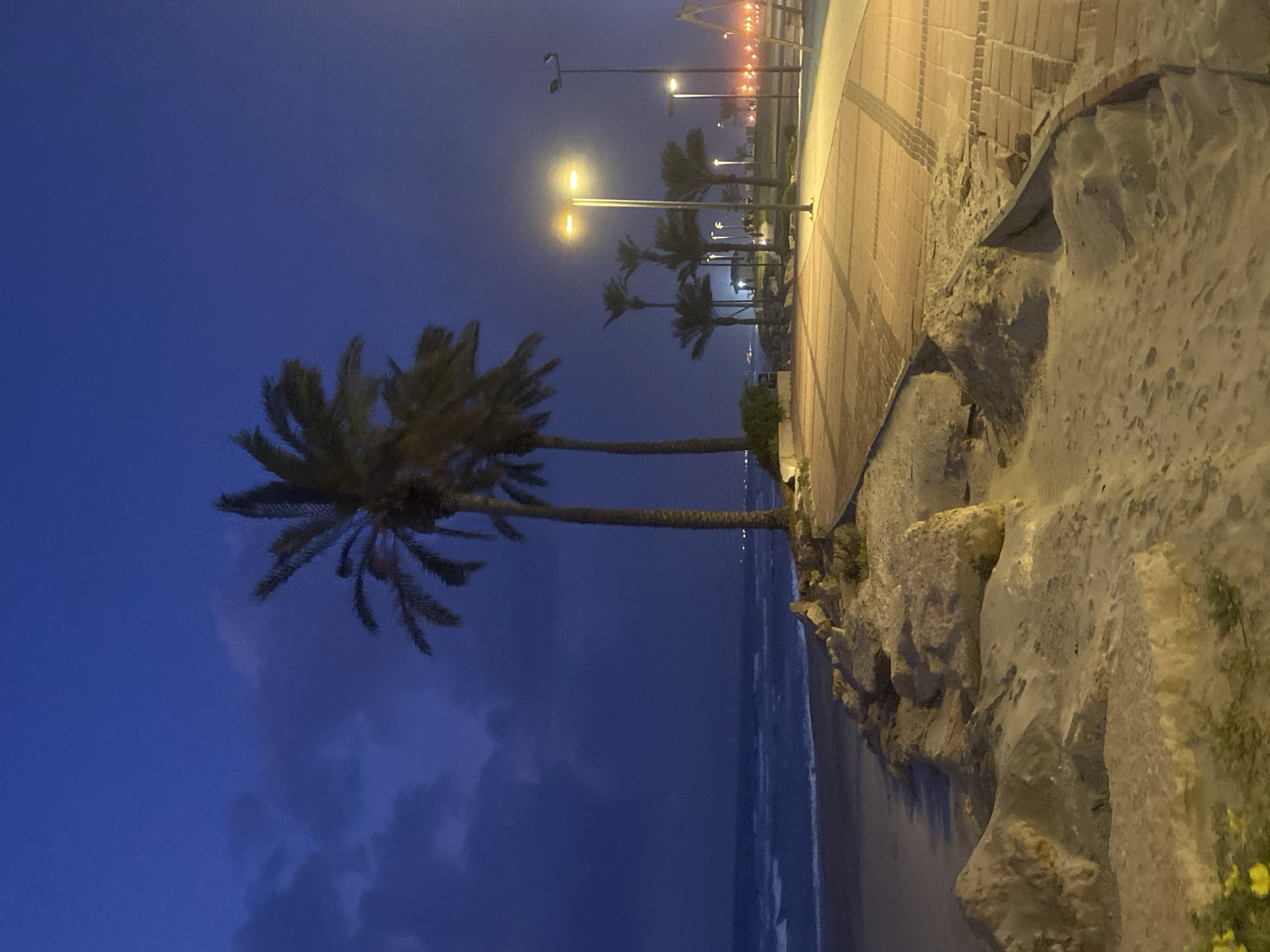 The image depicts a nighttime scene at the coastal promenade in Kiryat Yam, Israel. The view is oriented with the sea to the left and the city buildings or the promenade to the right. Two palm trees are prominently silhouetted against the dark blue sky. Streetlights illuminate a walkway on the right, which is lined with a barrier made of rocks or concrete. The sea appears dark and calm, with subtle indications of wave activity. In the distance, more streetlights can be seen, suggesting the continuation of the promenade. There are no people visible in the shot.