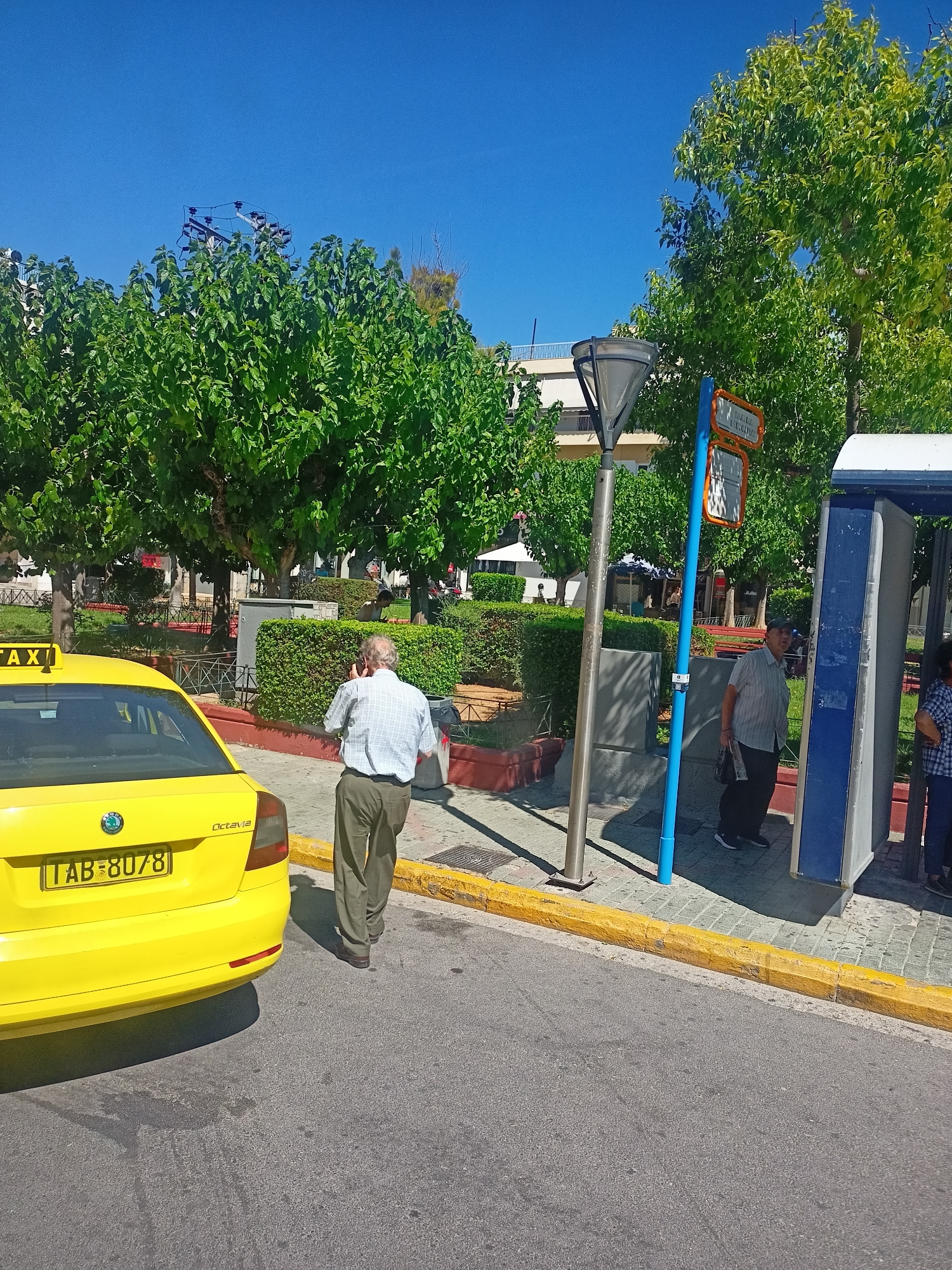 An elderly man in a checkered shirt and olive-colored pants walks away from a yellow taxi and talks on his cell phone. He is in front of a bus stop with a blue shelter and a lamppost. The man is facing a street with a yellow curb and parked cars, including a yellow taxi with the license plate TAB-8078. The scene appears to be in a city park with trees and bushes, under a clear blue sky. There are other people visible in the background near the bus stop.
