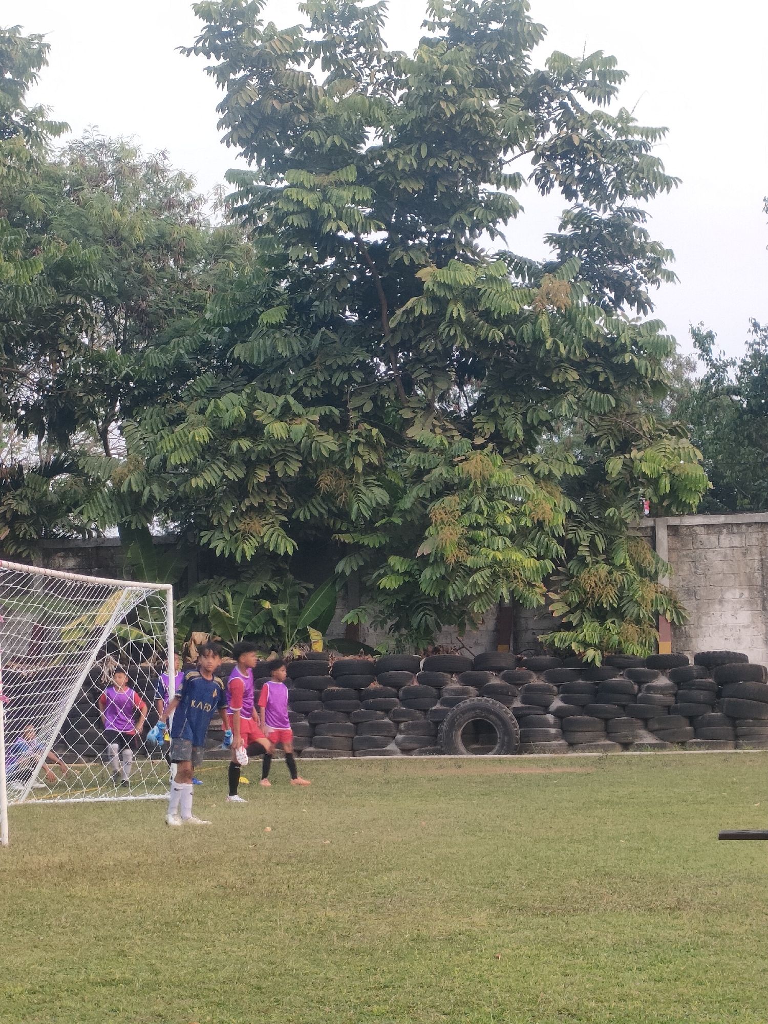 The image depicts a children's soccer practice or game in Banguntapan, Indonesia. In the foreground, a soccer goal is visible on the left side of the frame, with a grassy field. Several young boys, dressed in soccer attire, are present on the field. Some are wearing blue and red jerseys, while others are in purple and red. One boy in a blue jersey stands near the center of the field, appearing to be a goalkeeper. In the background, a large tree with lush green leaves dominates the scene. Behind the tree and to the right, a wall made of stacked tires forms a barrier, and a portion of a concrete wall is also visible. The sky is overcast, suggesting it might be a cloudy day. The environment appears to be an outdoor sports field.