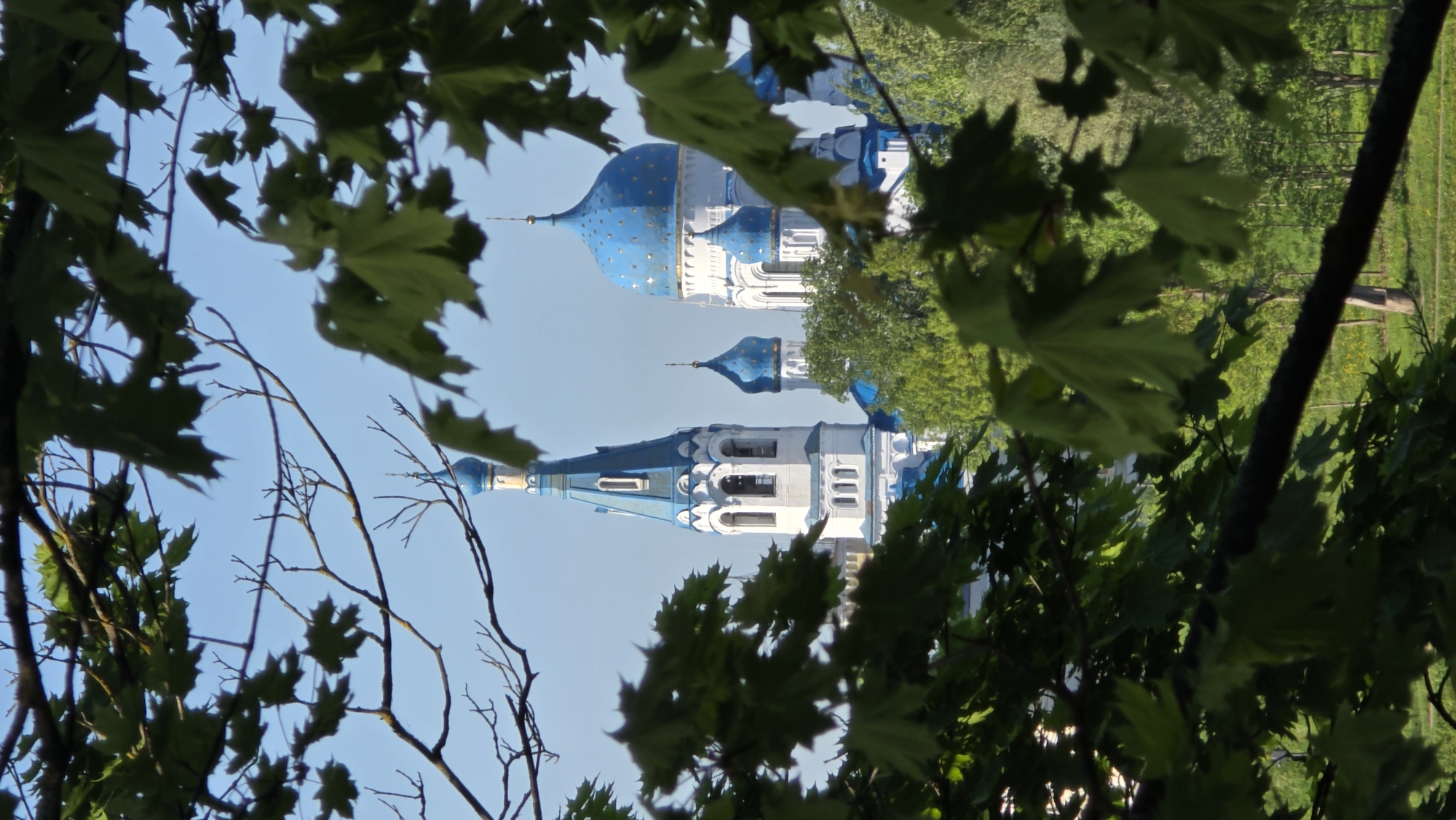 The image shows a view of the Cathedral of St. Paul in Gatchina, Russia, framed by tree branches and leaves. The cathedral, with its blue domes adorned with stars, is partially obscured by the foliage. The foreground is dominated by green leaves and branches, creating a natural frame for the building. The background includes a glimpse of trees and greenery, suggesting the cathedral is situated in a park or wooded area. The sky is light blue and visible between the branches and domes.