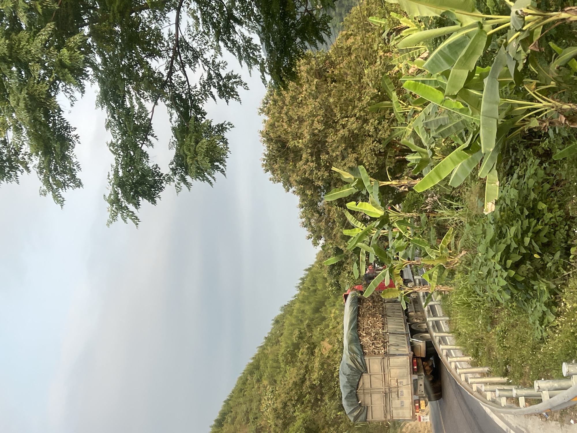 The image shows a truck on a road in Aê Thi, Vietnam. The truck appears to be loaded with some sort of agricultural cargo covered with a tarp. The road curves along a hillside covered in dense vegetation, including banana plants and other trees. There are guardrails along the road's edge. The sky is overcast.