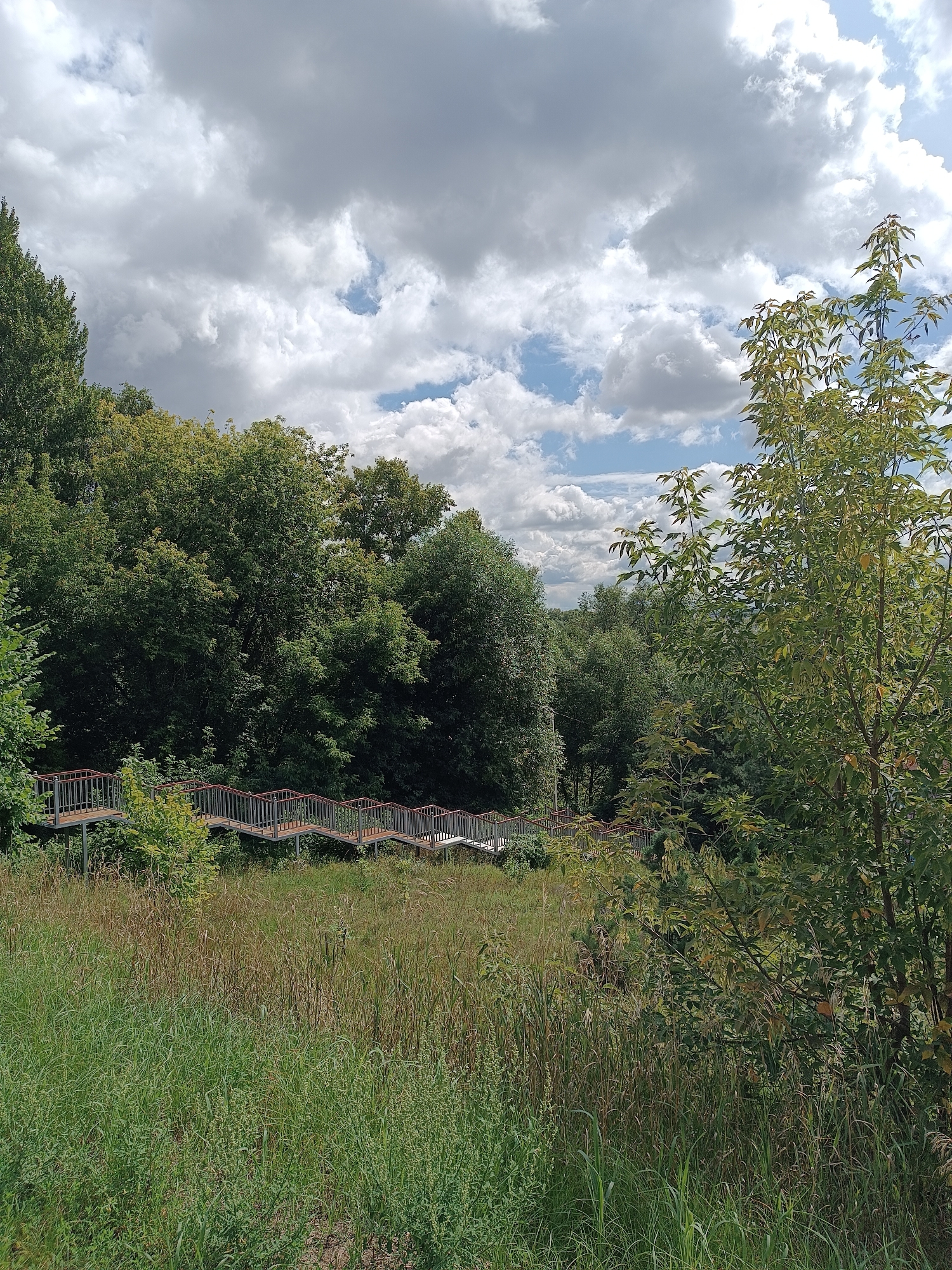 The image depicts an outdoor scene with a winding staircase in the foreground. The staircase, constructed with wooden planks and metal railings, ascends diagonally from left to right. It is surrounded by tall, dry grasses and some green foliage. Behind the staircase, a dense canopy of lush green trees forms a backdrop. The sky above is filled with dramatic, partly cloudy formations, with patches of blue sky visible between the clouds. The overall impression is a natural landscape with a man-made structure integrated into it.