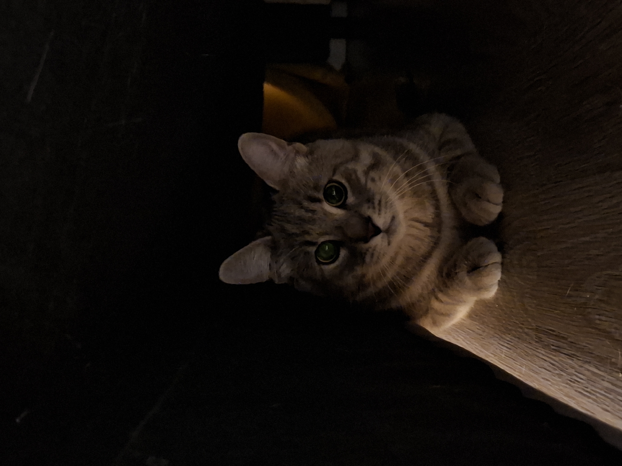 A tabby cat with bright green eyes is pictured in a dimly lit, indoor setting. The cat is facing the camera, with its paws tucked neatly in front of it. It is resting on a wooden surface, possibly a floor or a piece of furniture, which appears to be worn and textured. The background is dark and out of focus, with hints of a yellow-toned fabric visible further back. The lighting suggests the image was taken at night or in a room with minimal light. The cat's fur displays a typical tabby pattern of stripes and swirls in shades of brown and grey. Its ears are perked up, indicating alertness. The overall scene is intimate and captures a moment of quiet observation by the feline. The location is not specified in the image or its description.