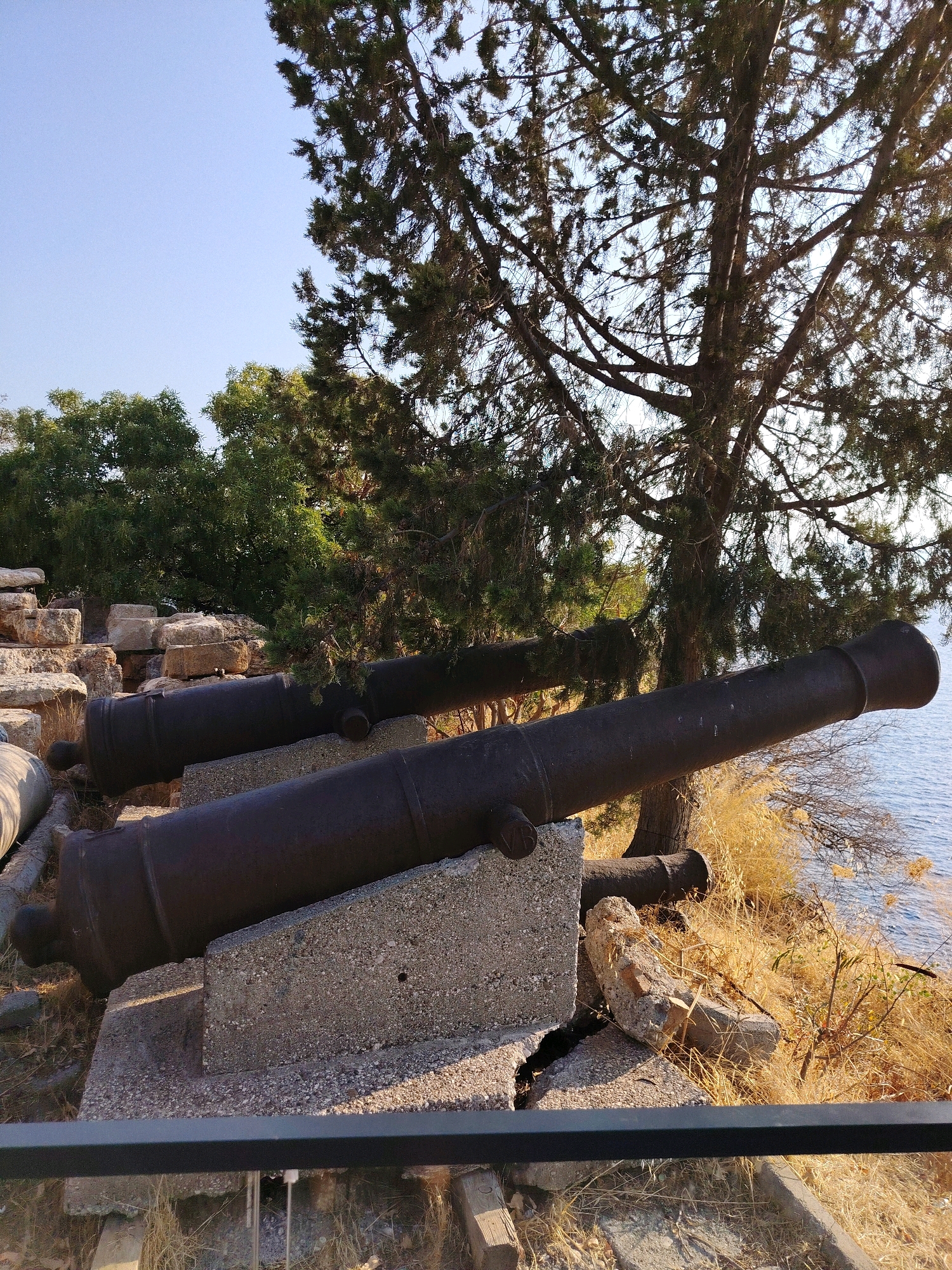 The image depicts two ancient cannons placed on concrete stands, positioned outdoors. The cannons are dark, likely made of iron, and show signs of age and weathering. They are situated on a rocky incline, with dry, golden grass and foliage surrounding them. In the background, a body of water, possibly the sea, is visible, reflecting the clear blue sky. A large tree with dense foliage partially shades the scene, its branches extending over the cannons. In the far background, lush green trees create a contrast with the arid foreground. The overall setting suggests a historical or archaeological site. The cannons are positioned on what appears to be a coastal fortification. Based on the cannons and the coastal setting, this could be located in the historic Kaleiçi district of Antalya, Turkey, which is known for its ancient harbor and defensive walls.
