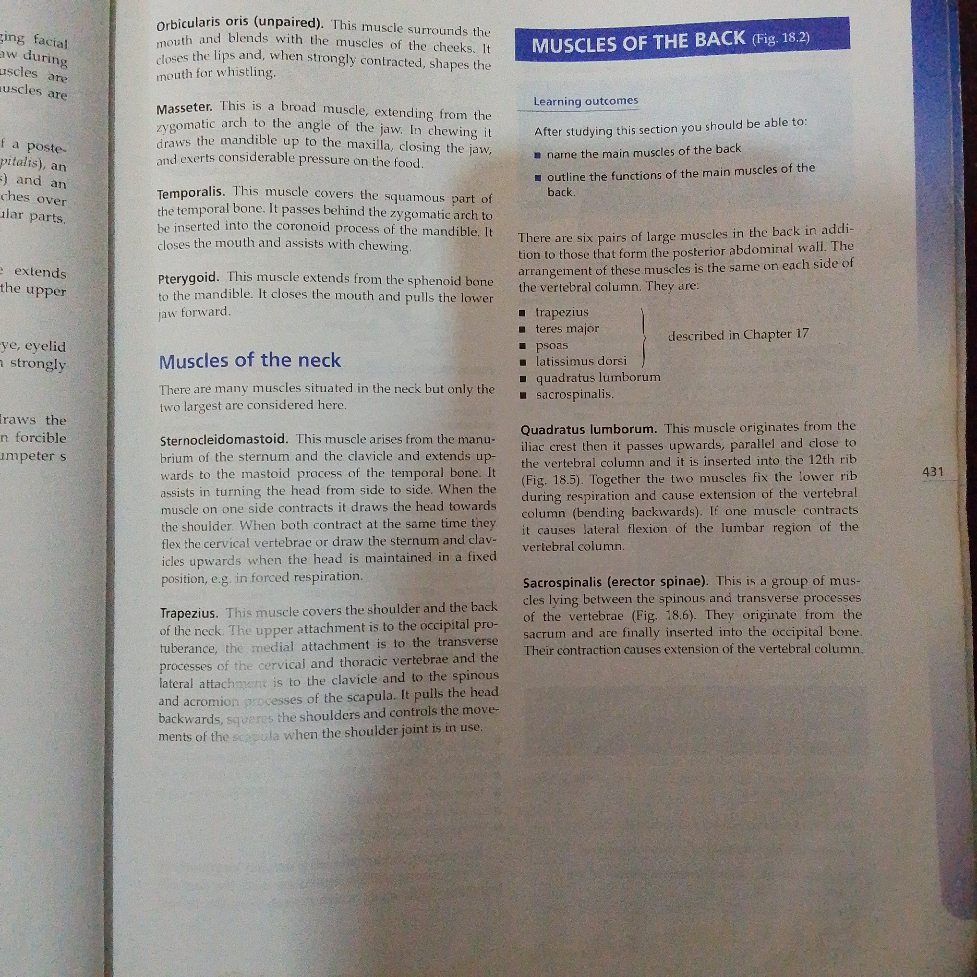 The image displays a page from a biology textbook, specifically focusing on muscles of the back and neck. The text discusses various muscles, their locations, and functions. The page is divided into sections with headings such as "MUSCLES OF THE BACK," "Learning outcomes," and "Muscles of the neck." Bulleted lists and paragraphs describe muscles like Orbicularis oris, Masseter, Temporalis, Pterygoia, Sternocleidomastoid, Trapezius, Quadratus lumborum, and Sacrospinalis. The image does not contain any information or visual elements related to Jalingo, Nigeria, or any urban environment.