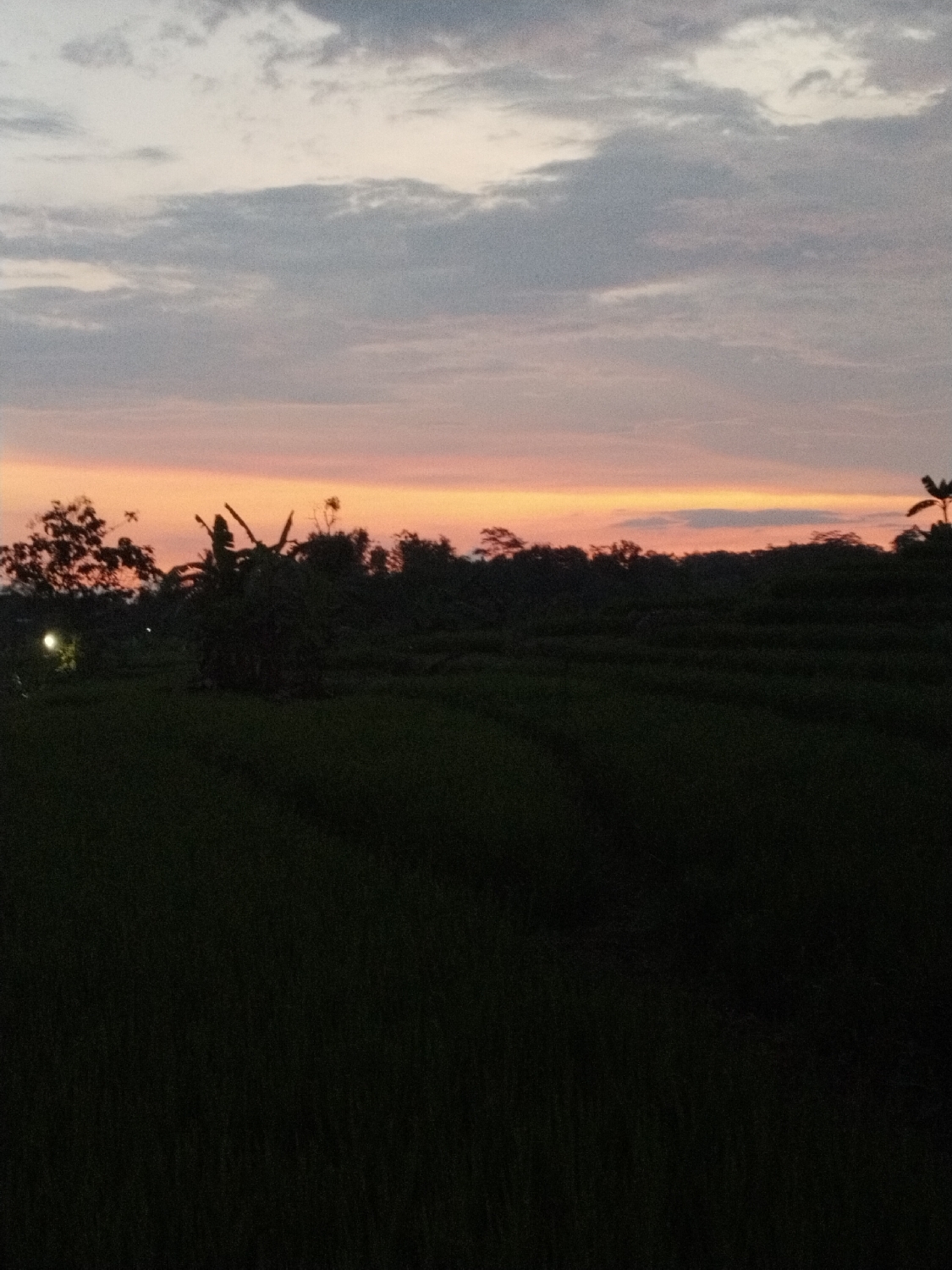 The image captures a serene rural landscape at dusk in Pablengan, Indonesia, bathed in the soft glow of a fading sunset. The scene primarily features a vast expanse of agricultural fields, likely rice paddies, in the foreground, appearing very dark and silhouetted against the dimming light.
The sky dominates the upper portion of the photograph, displaying a beautiful transition of colors. High up, the clouds are a soft grey and white, scattered across the overhead sky. Closer to the horizon, a prominent band of warm colors emerges, showcasing hues of soft orange, pink, and pale yellow, indicating the last light of the setting sun.
Along the horizon, a dense line of trees and vegetation forms a dark silhouette, standing out against the colorful sky. The shapes of various trees, including some with broad leaves reminiscent of banana plants, are vaguely discernible. On the far left side of the image, near the horizon and partially obscured by trees, a faint, glowing light source, possibly a distant streetlamp or a light from a building, is visible.
There are no people or specific activities taking place within the frame. The overall atmosphere is tranquil and peaceful, characteristic of the end of the day in a natural, agricultural setting. No visible text is present in the image.