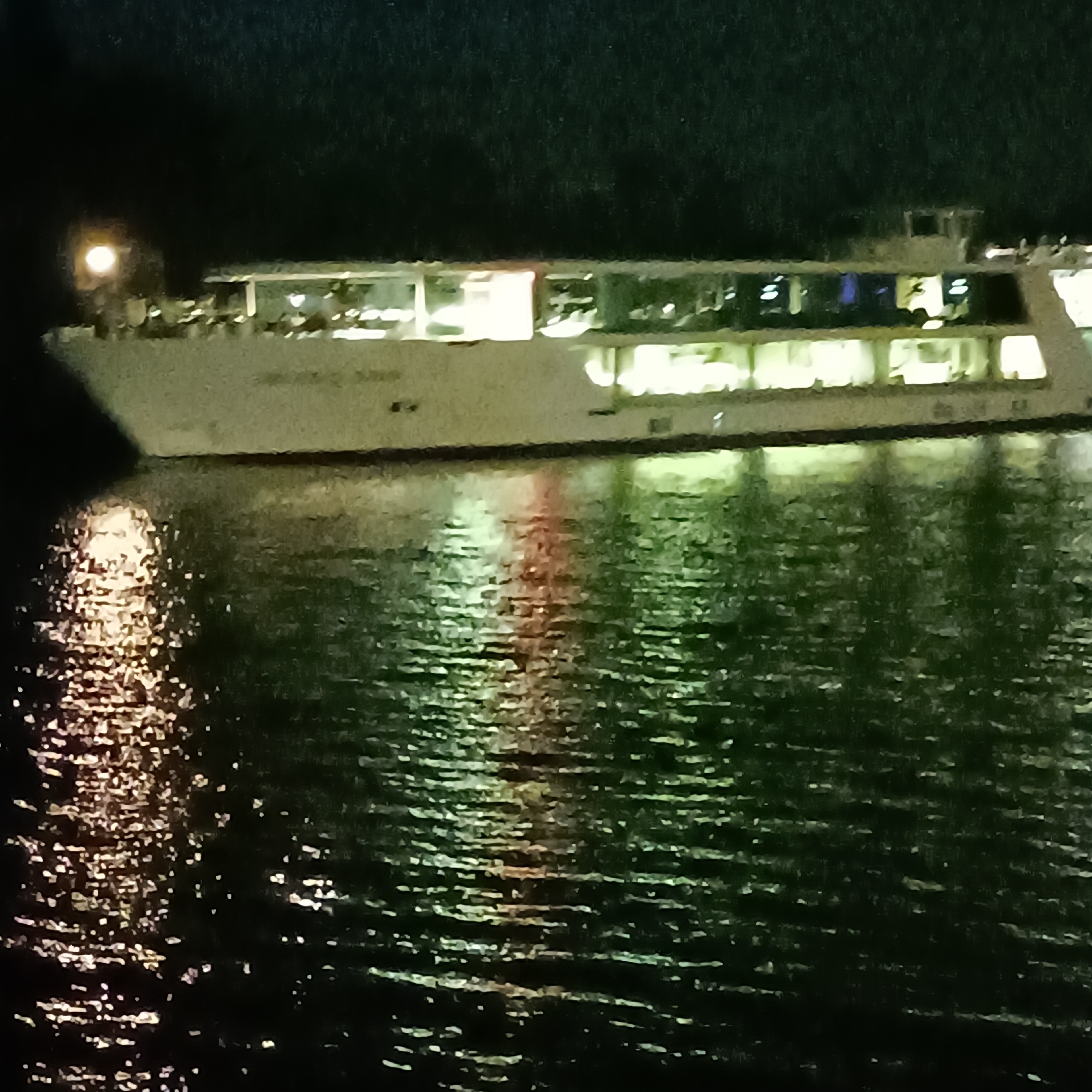 The image depicts a wide, illuminated passenger boat at night, likely a ferry or tour boat, navigating on a body of water. The boat's multiple decks are brightly lit from within, with numerous windows visible. Reflections of the boat's lights shimmer on the dark, choppy water. The overall scene suggests a lively atmosphere on the boat, with people likely inside enjoying the evening. The dark, slightly textured background suggests a nighttime sky with possibly distant land or foliage. Based on the boat type and likely recreational context, this scene could be found on the Main River within the city of Rüsselsheim am Main, Germany, a known location for such river activities.